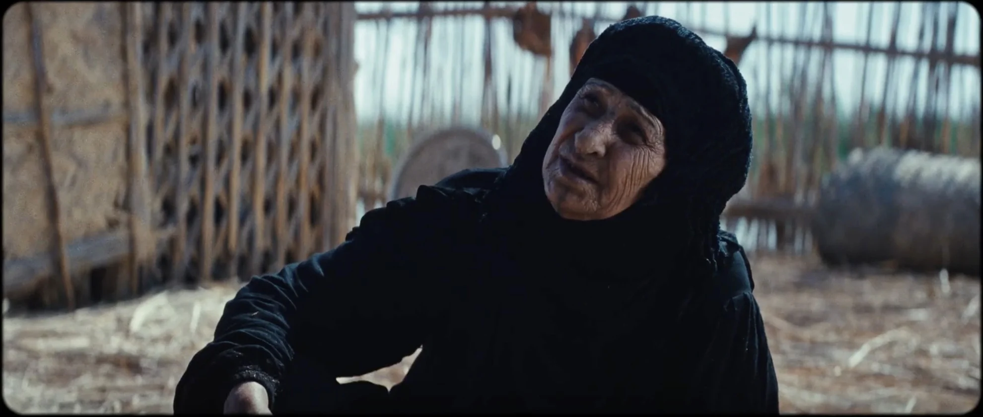 The President's Cake hero banner image placeholder