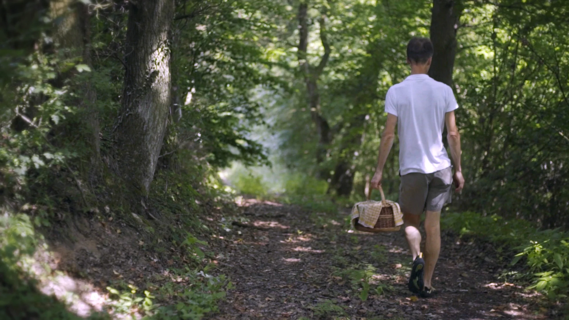 Sein - Gesund, Bewusst, Lebendig hero banner image placeholder