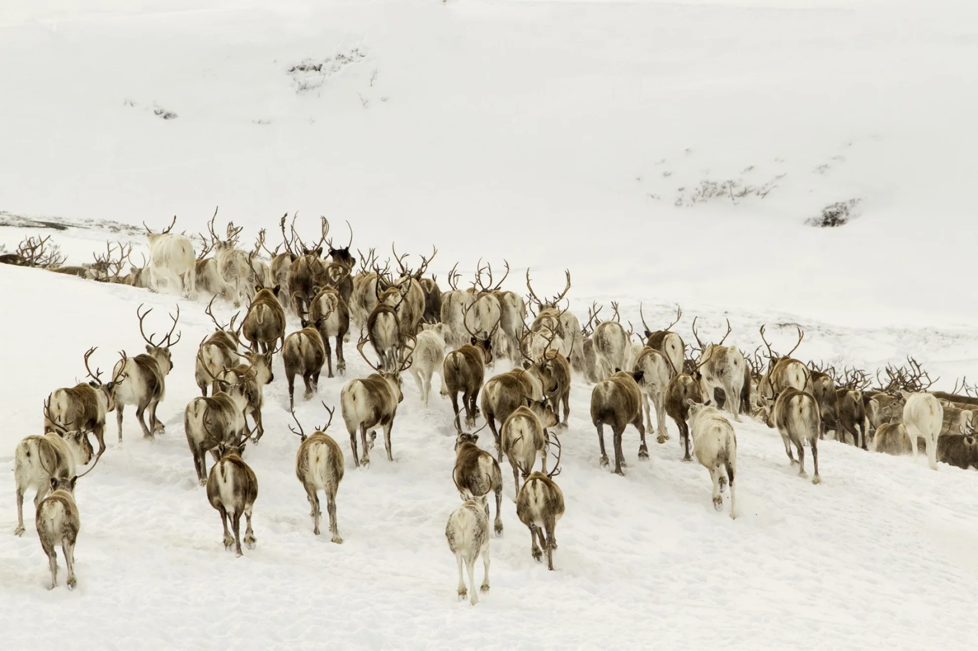 Unsere Wildnis hero banner image placeholder