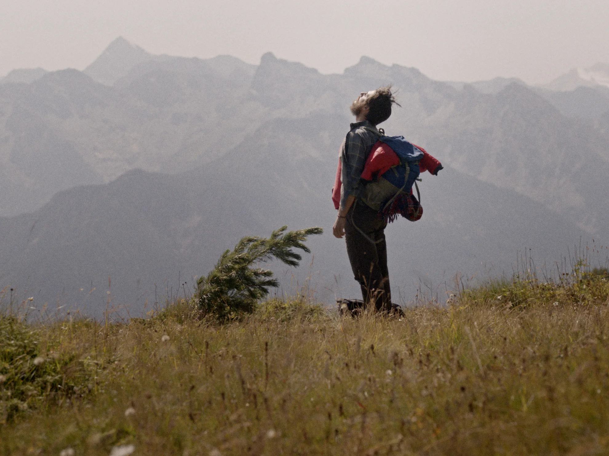 Le otto montagne hero banner image placeholder