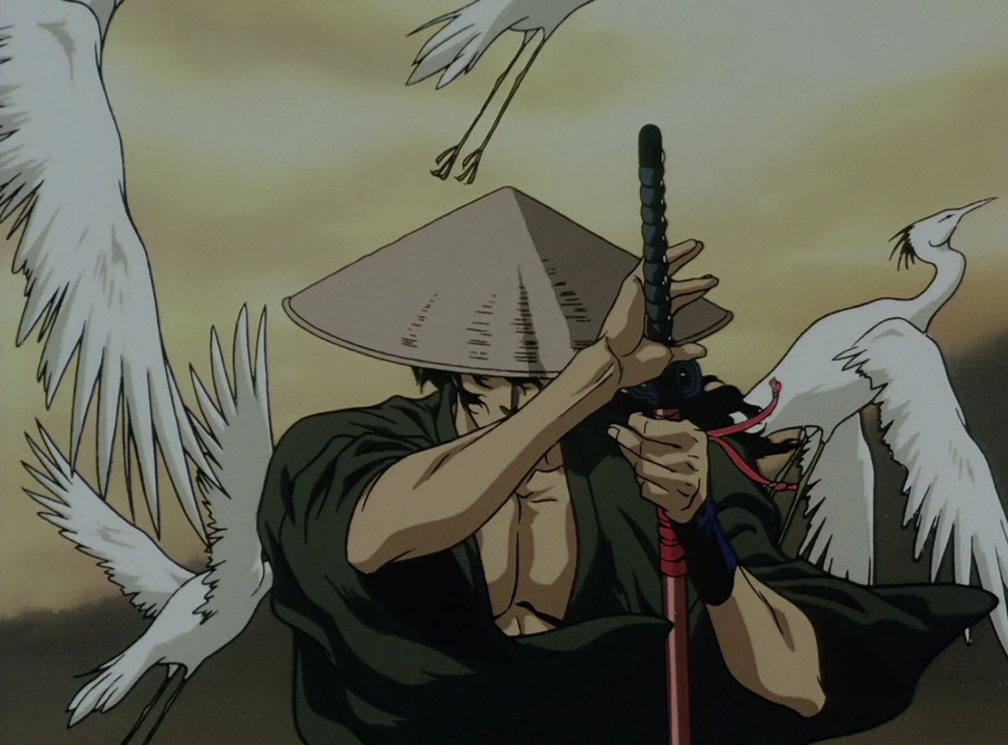 Ninja Scroll hero banner image placeholder
