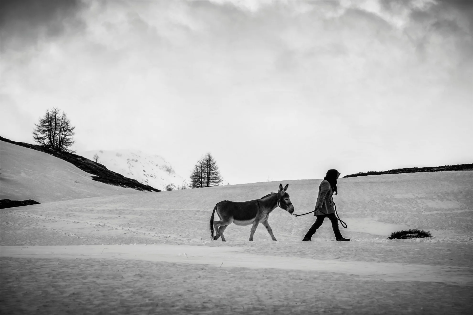 Fortuna  hero banner image placeholder