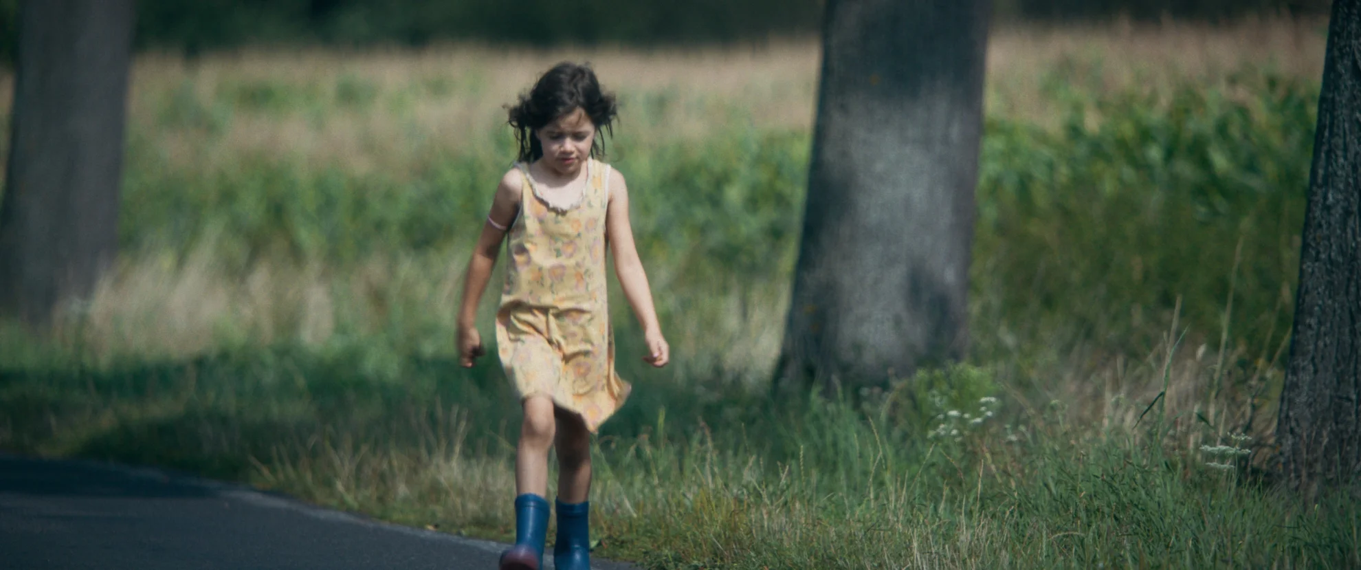 Zikaden hero banner image placeholder