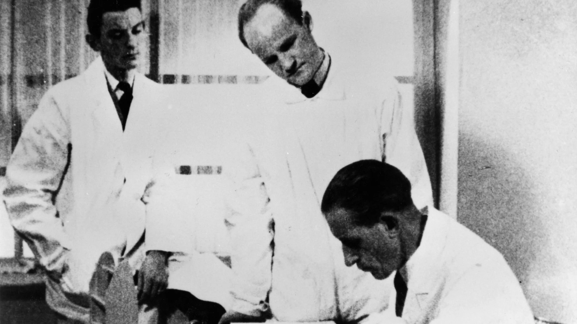 Frauennot - Frauenglück hero banner image placeholder