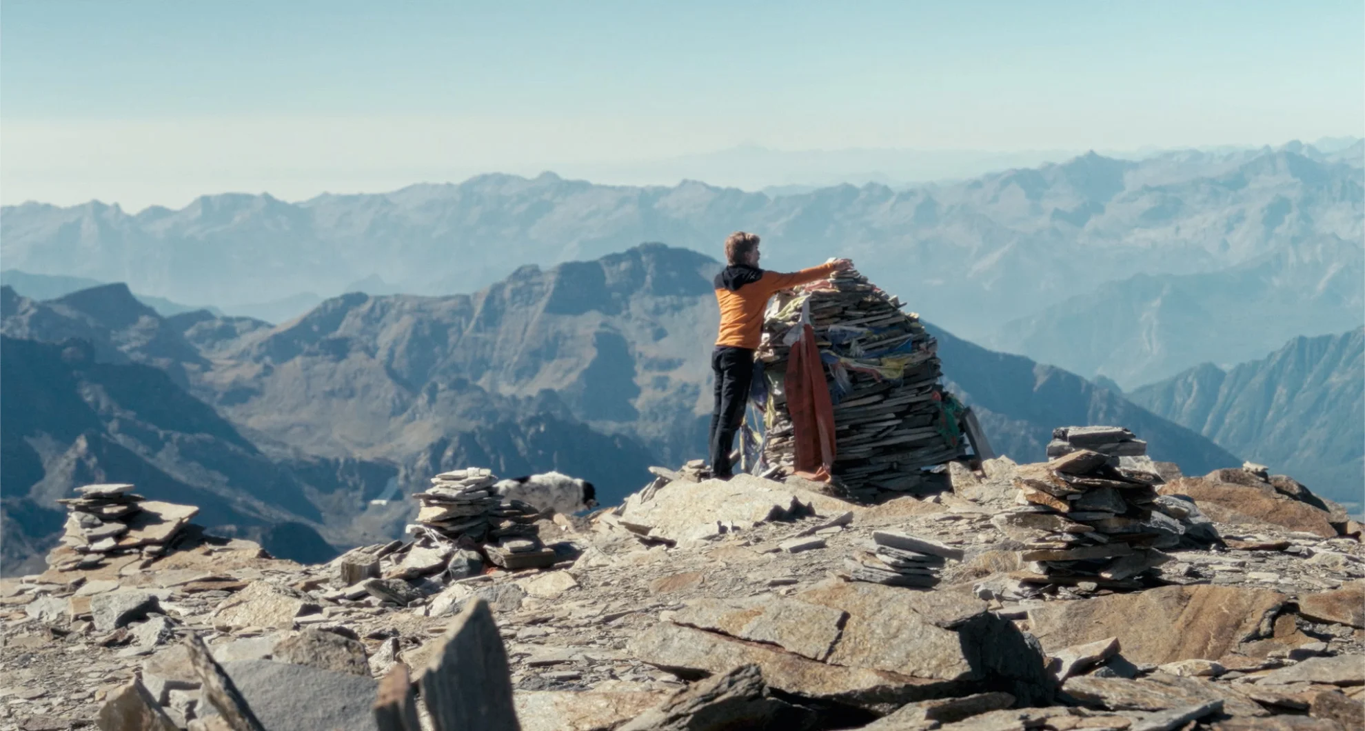 Fiore Mio hero banner image placeholder