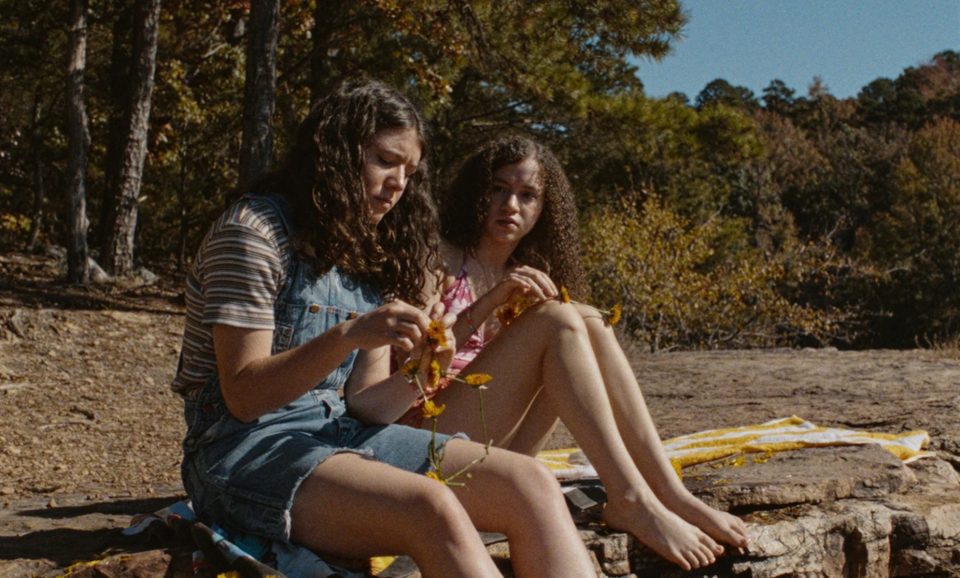 Mouse hero banner image