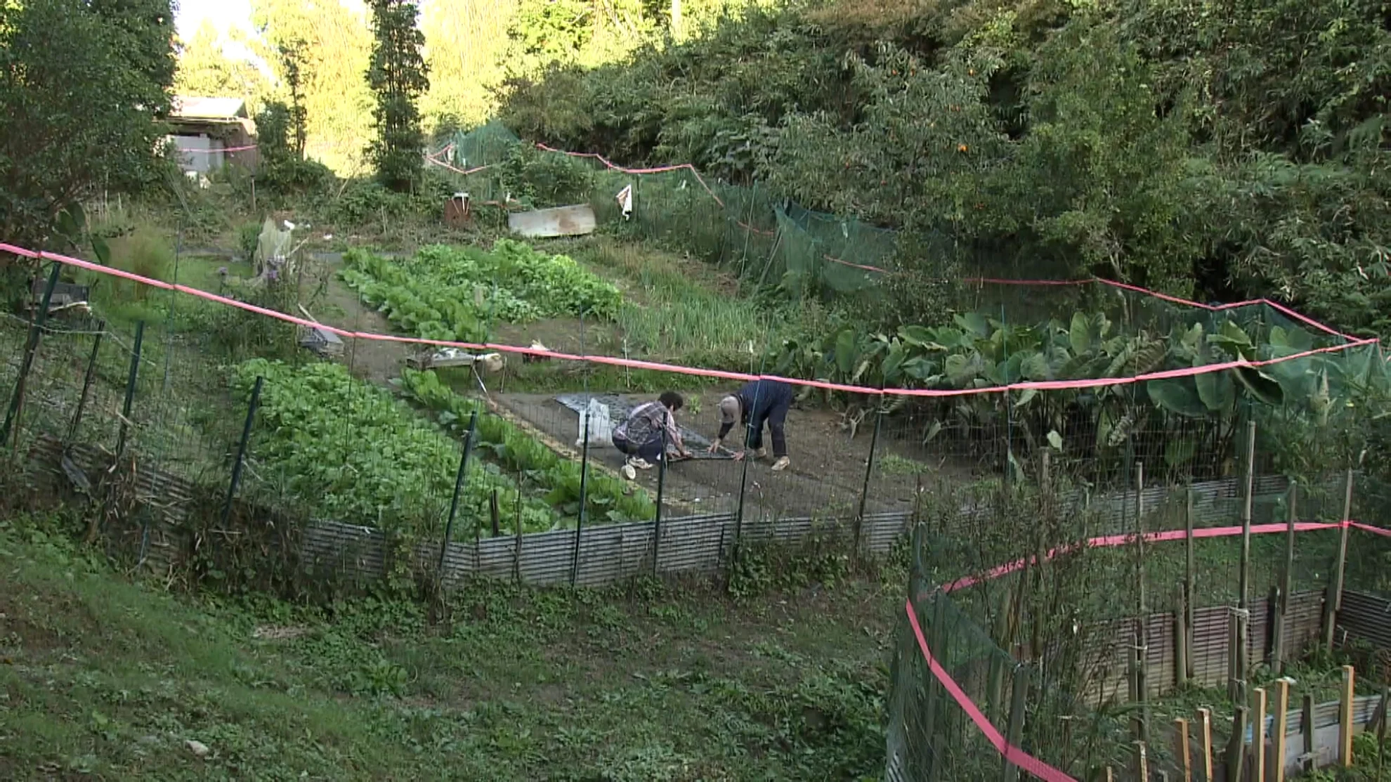 The Limit hero banner image placeholder