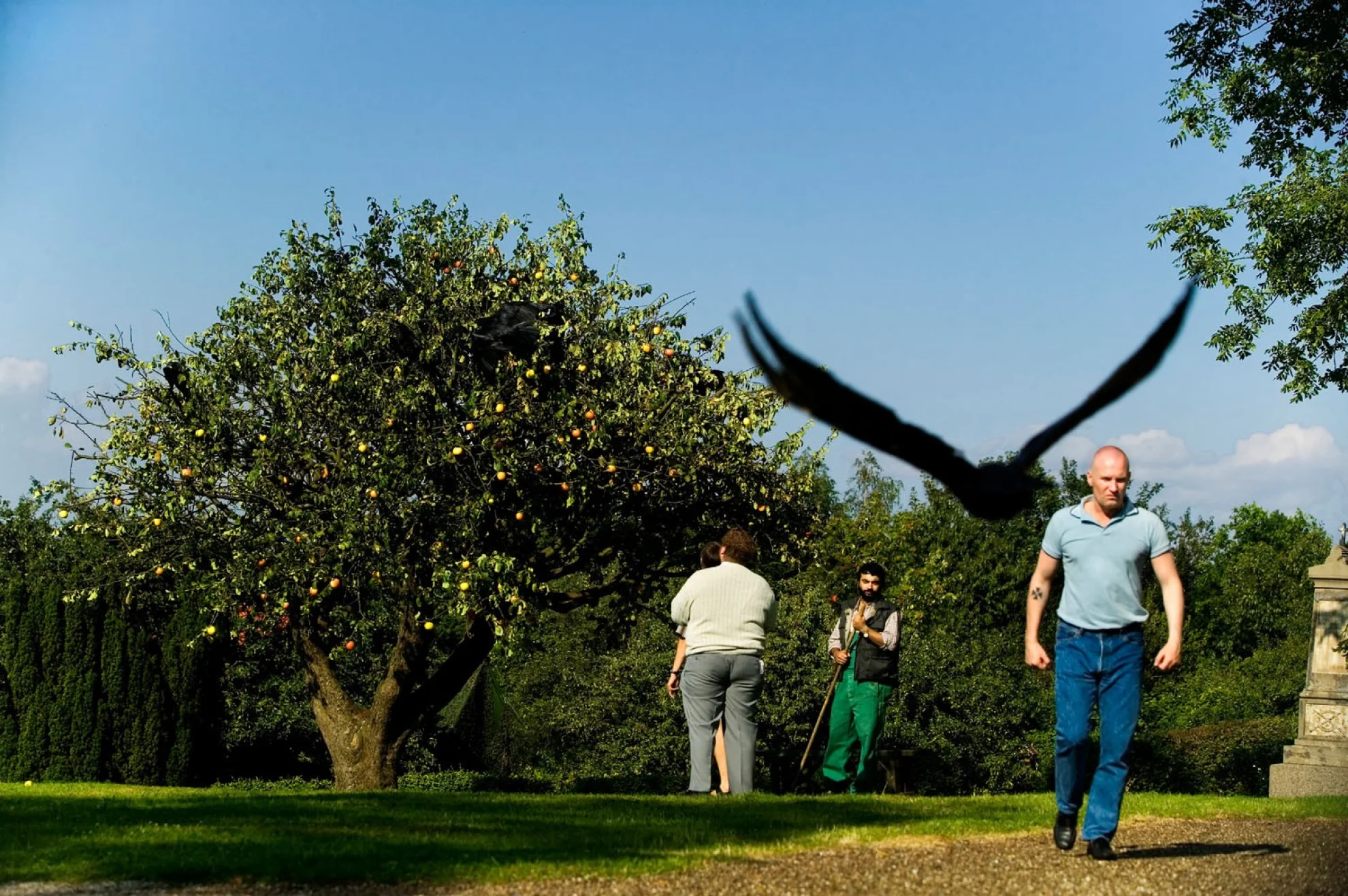 Adam's Apples hero banner image