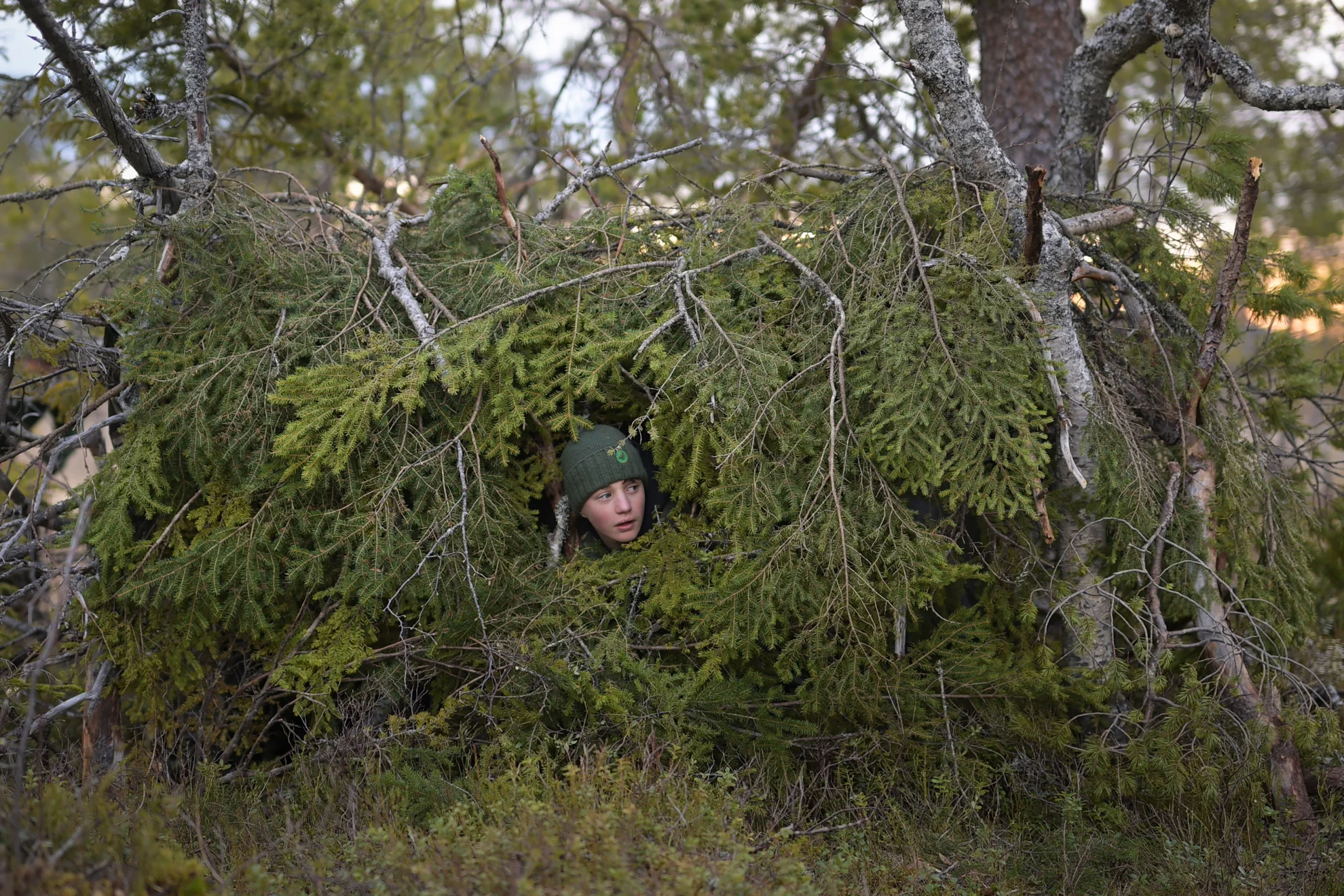 Le Chant des forêts hero banner image placeholder