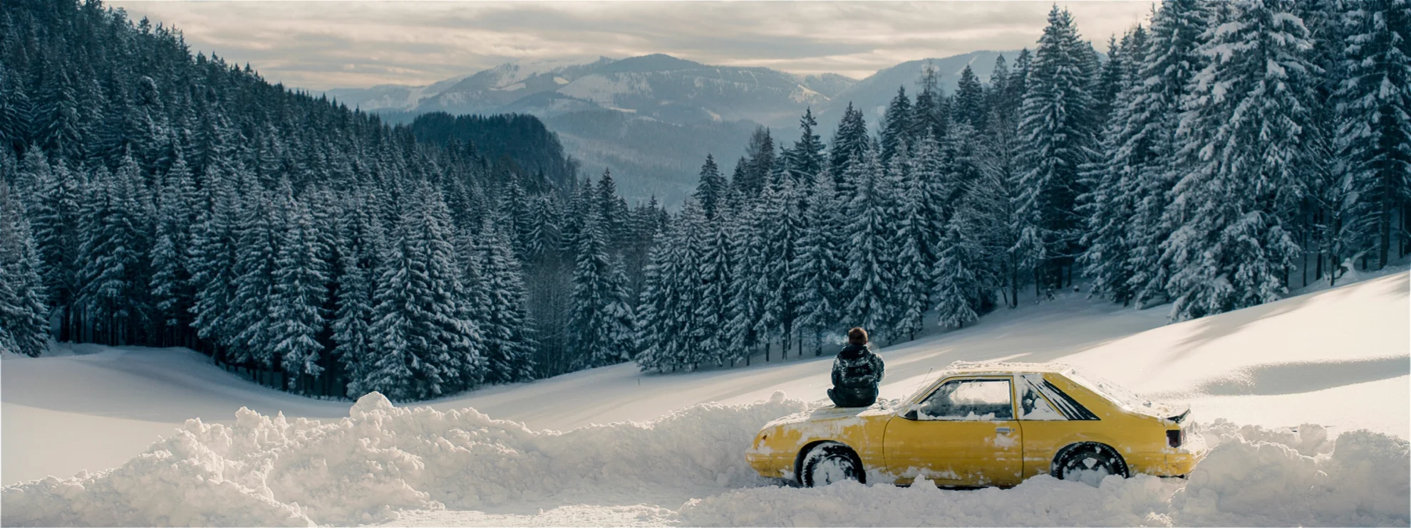 Wilde Maus hero banner image placeholder