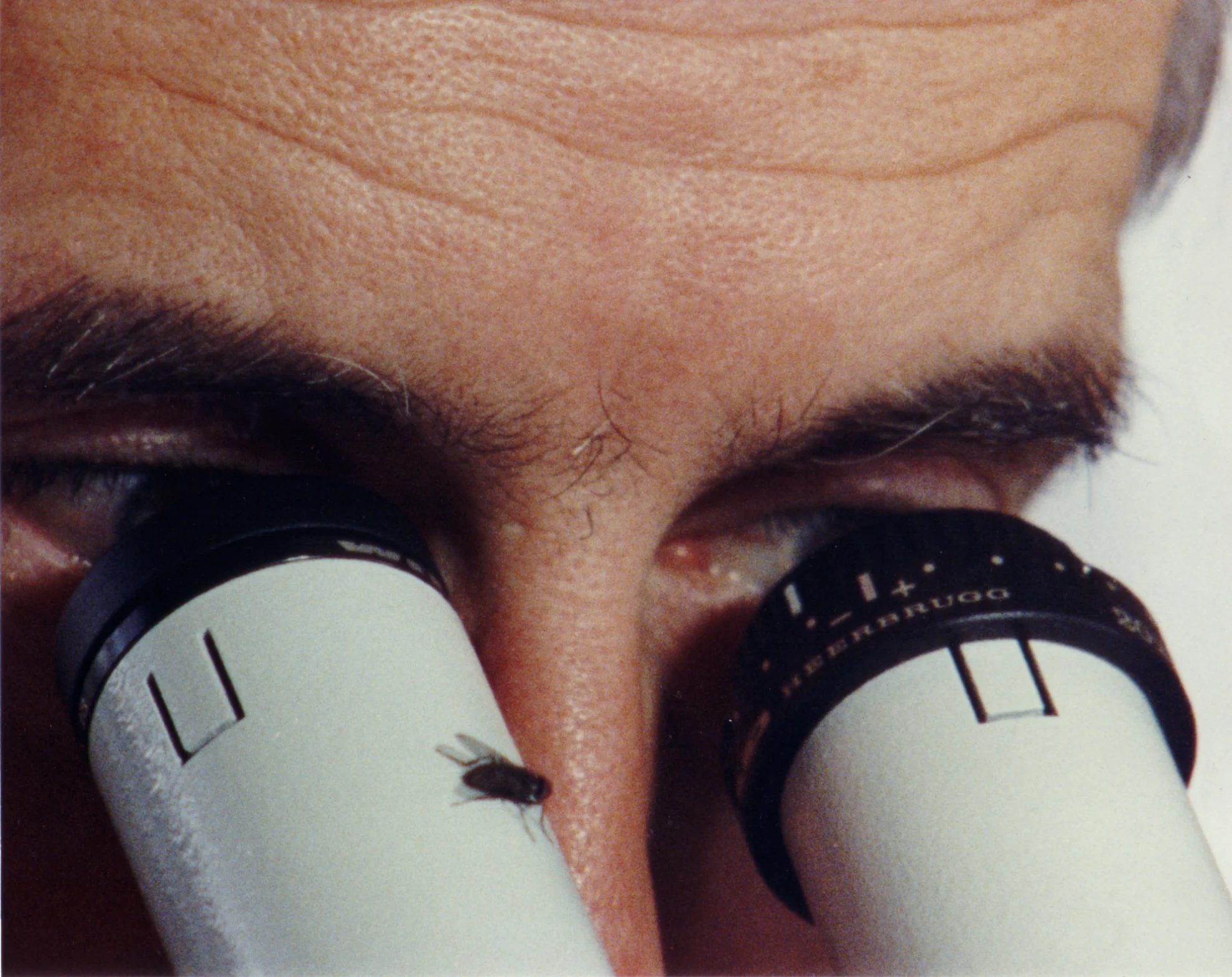 Bauernkrieg hero banner image placeholder