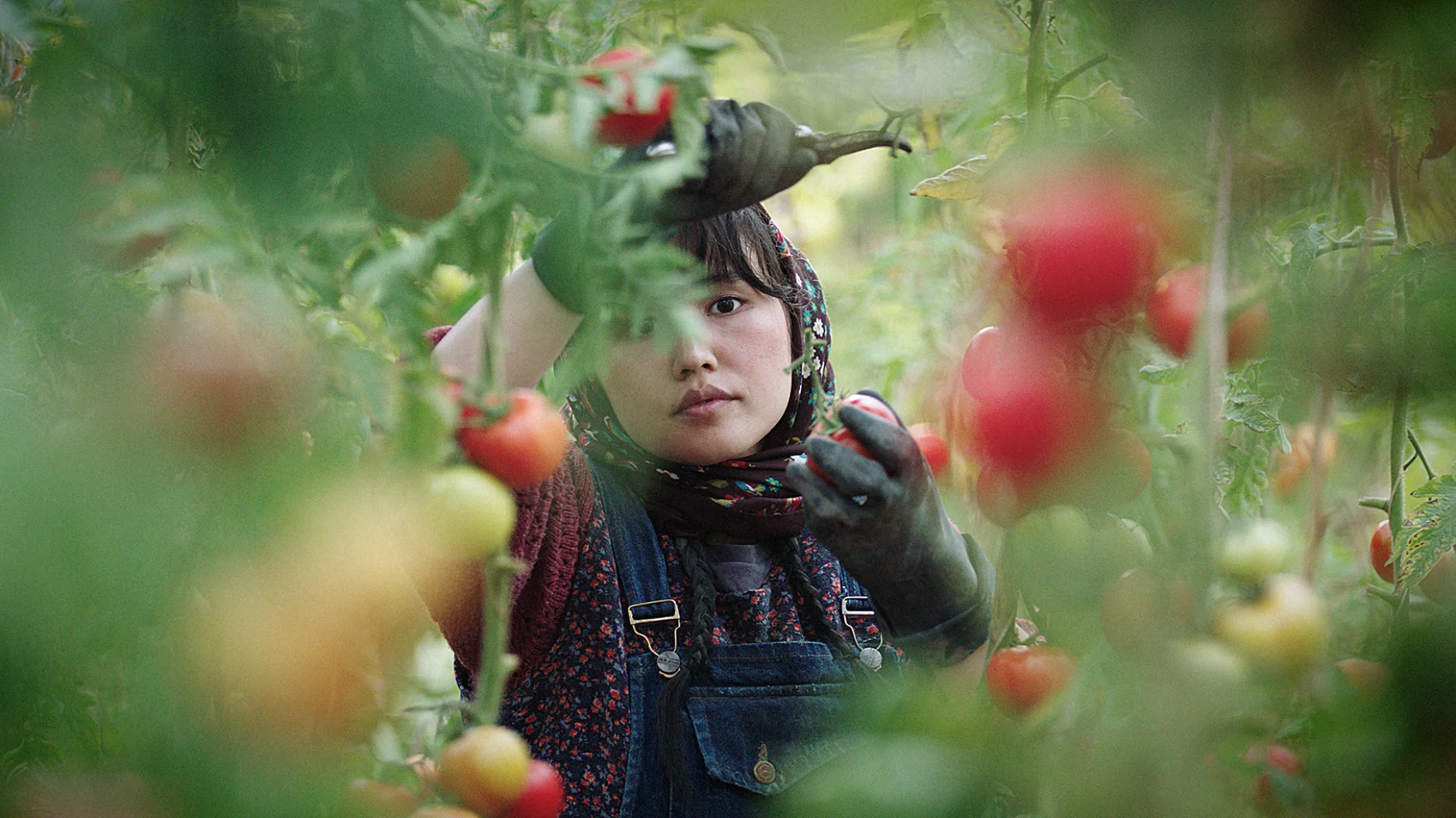 Human Rights Film Festival 2025 hero banner image