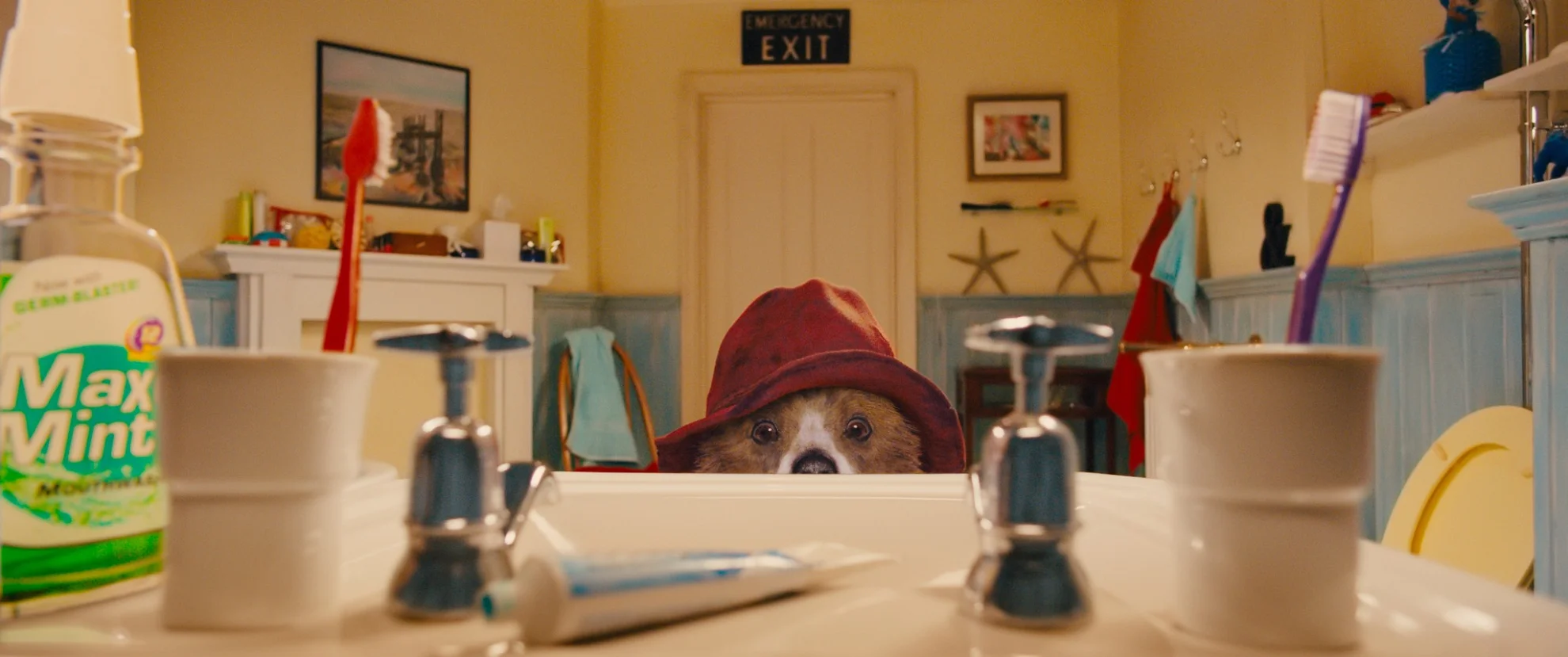 Paddington hero banner image placeholder