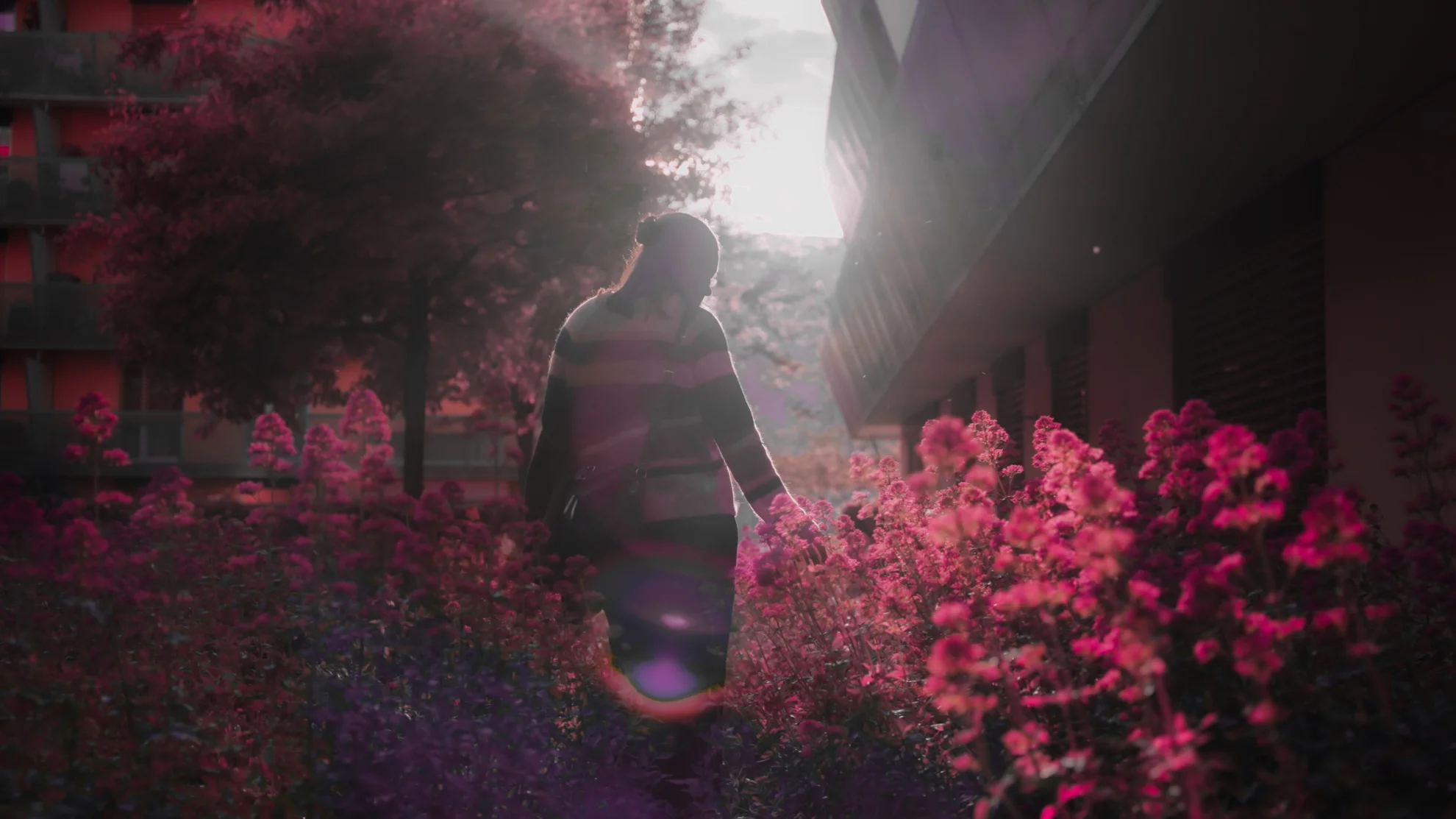 Norma Dorma hero banner image placeholder