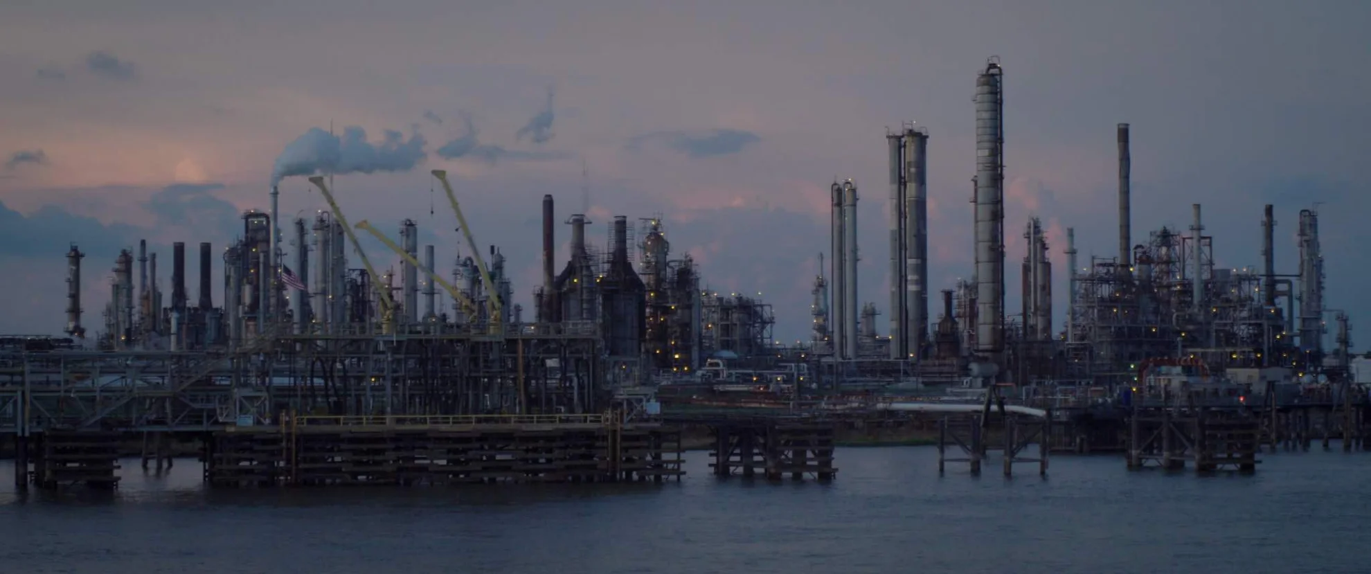 Birds of America hero banner image placeholder