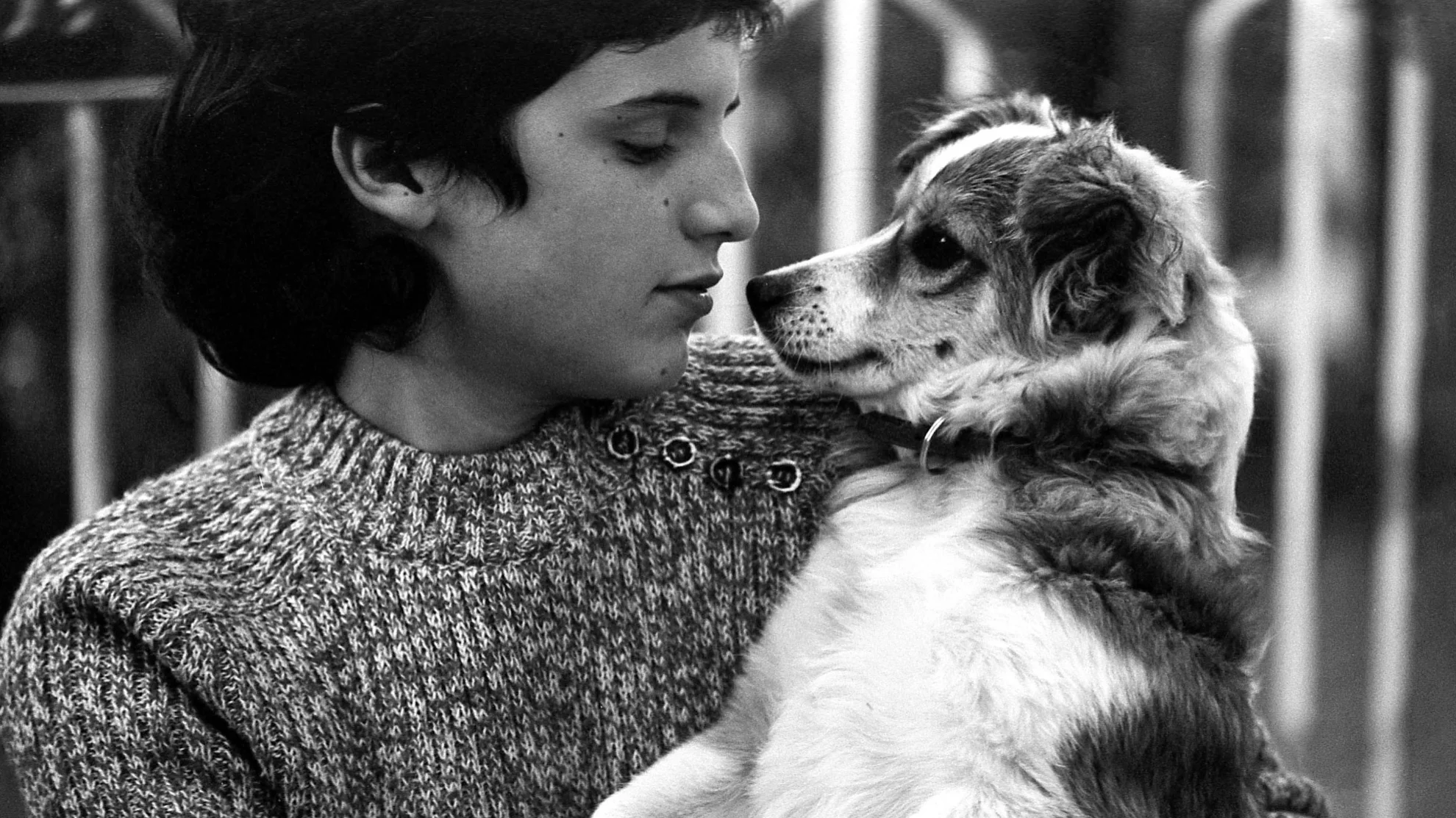 Cerchiamo per subito operai, offriamo... hero banner image