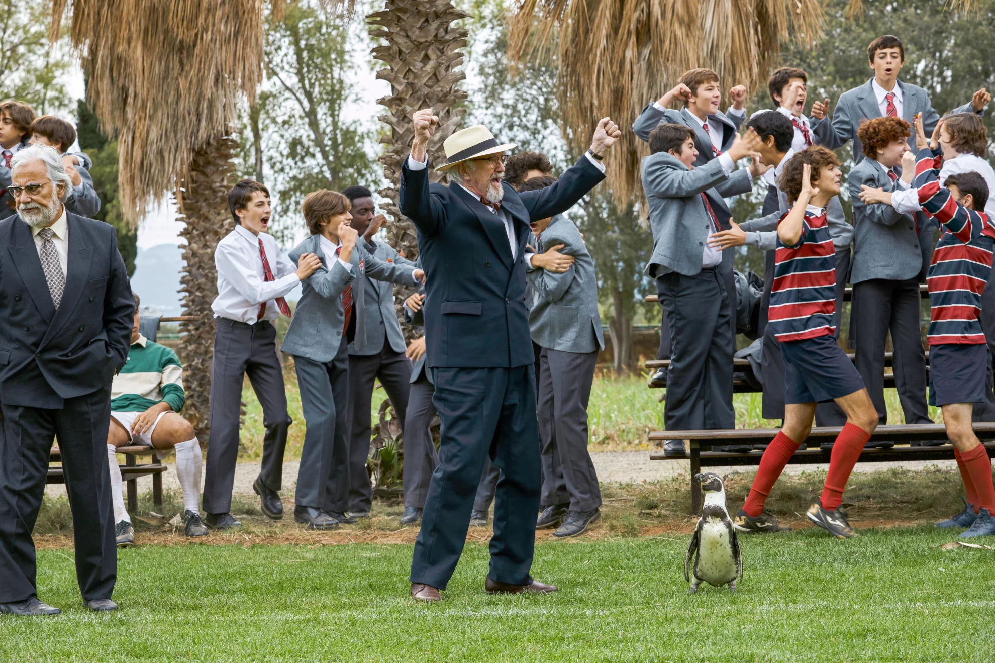 The Penguin Lessons hero banner image placeholder