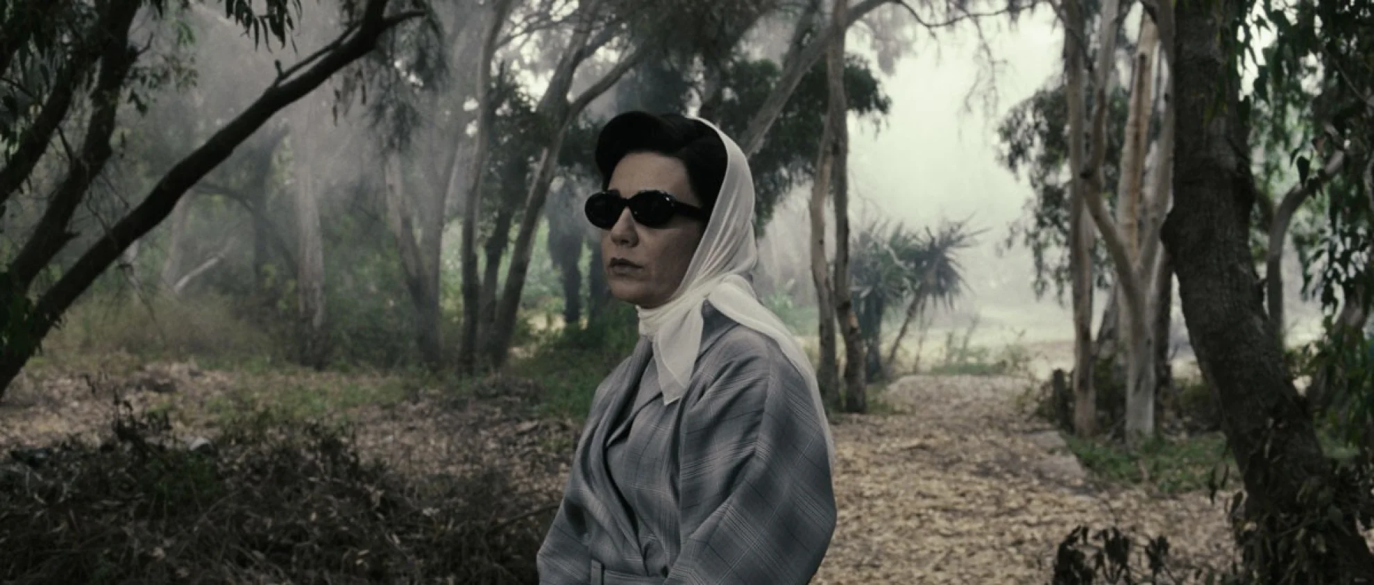 Women Without Men hero banner image placeholder