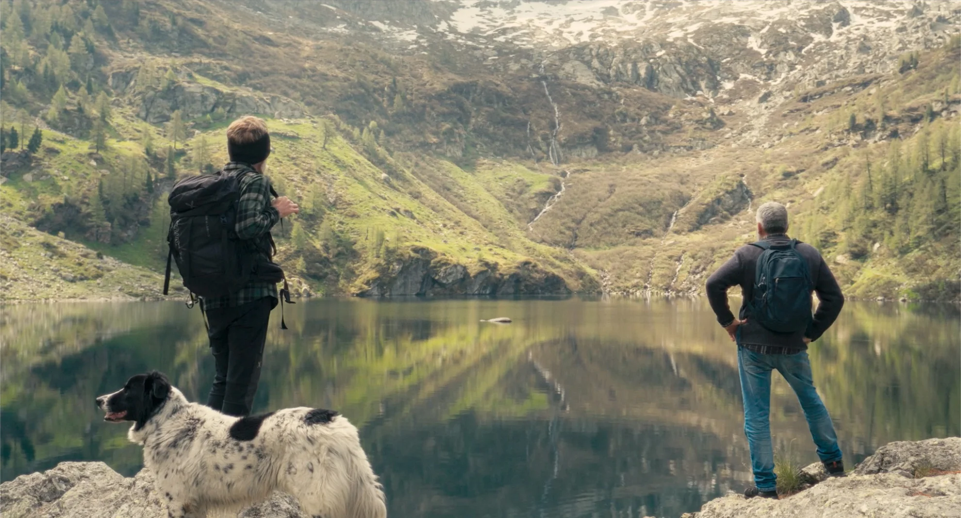 Fiore Mio hero banner image