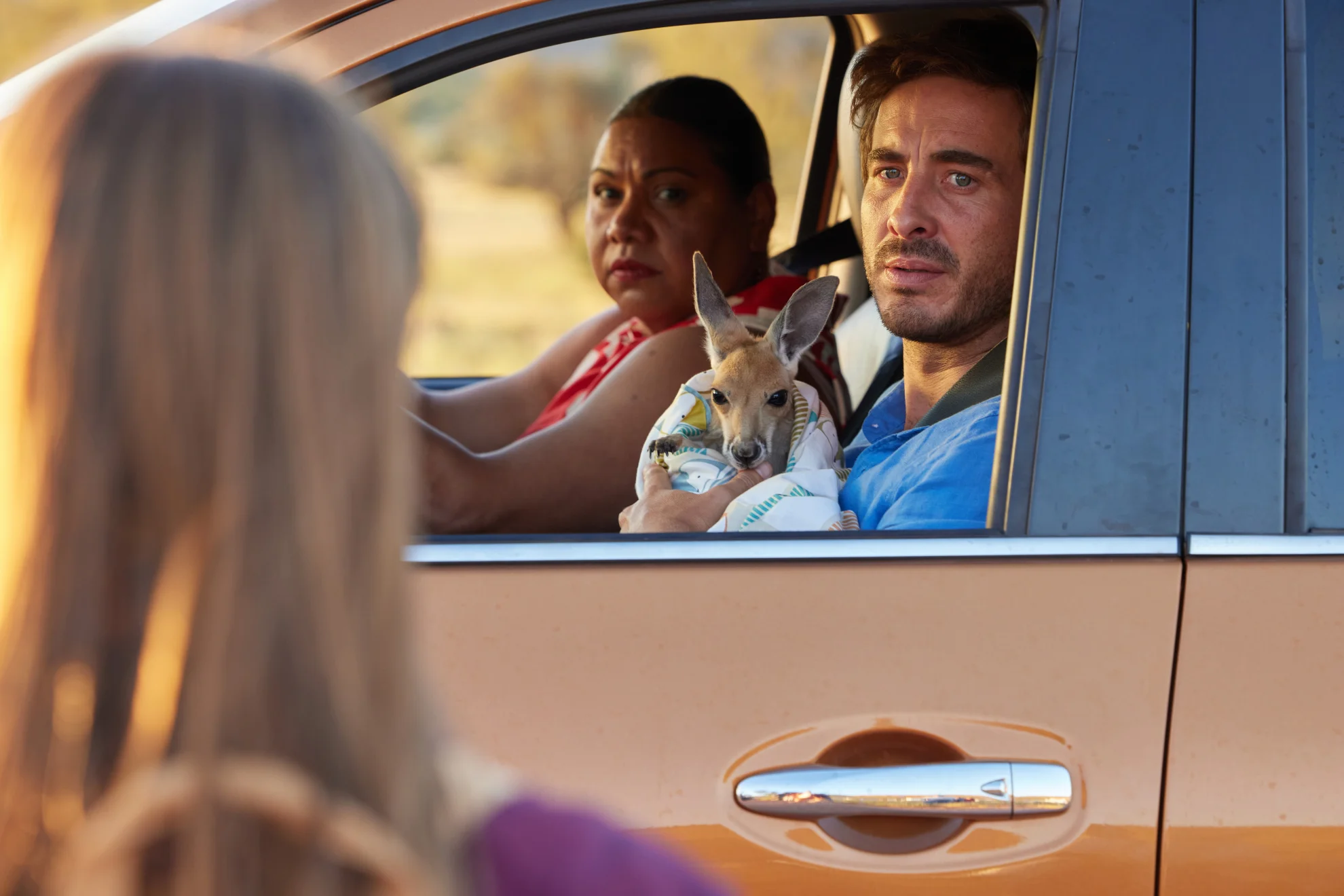 Lilly und die Kängurus hero banner image