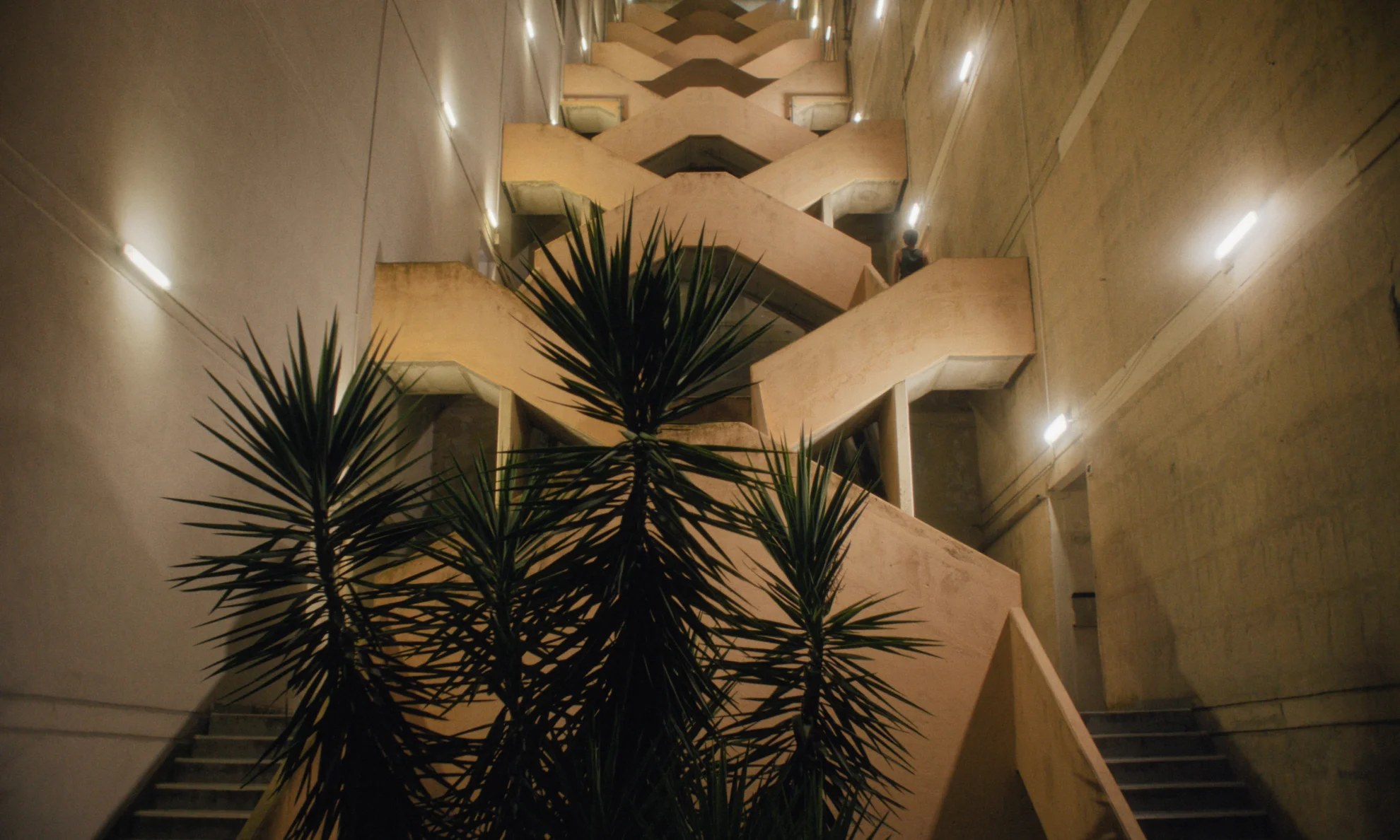 Don't Let the Sun hero banner image placeholder