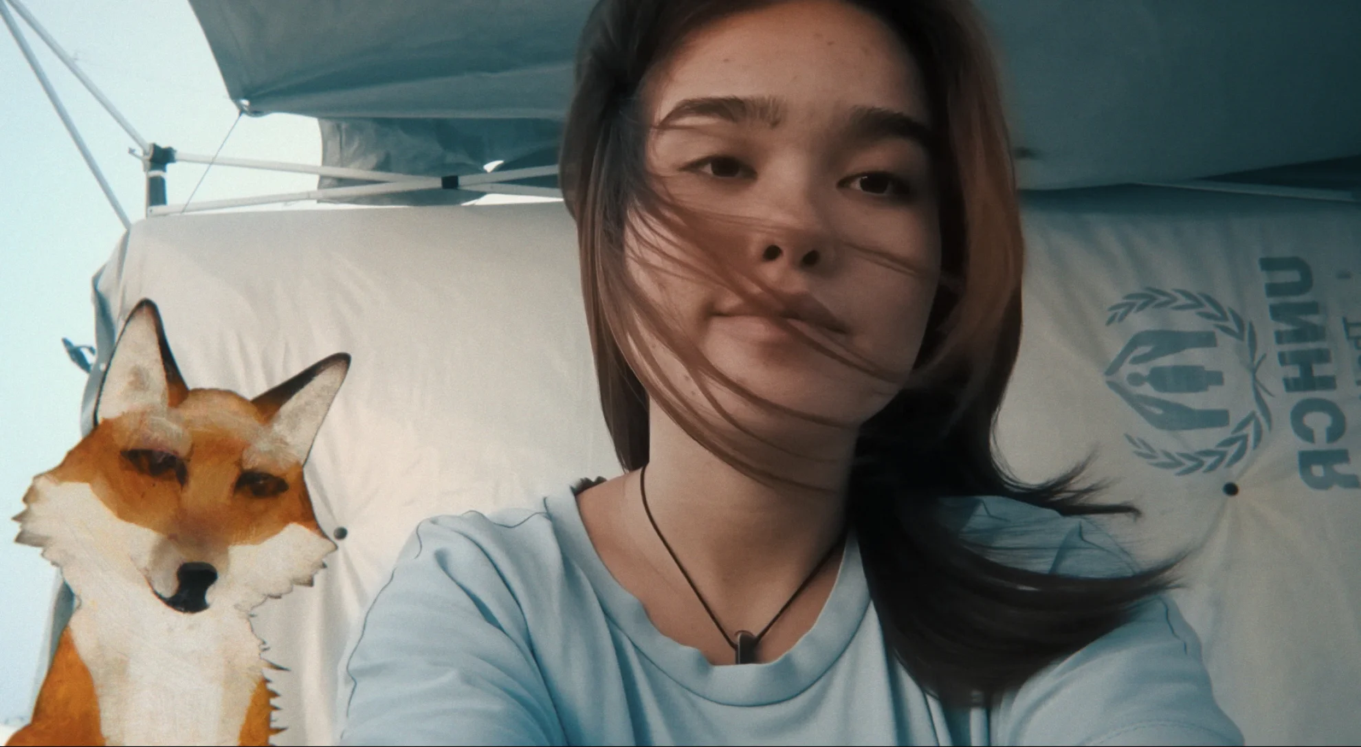 A Fox Under a Pink Moon hero banner image placeholder