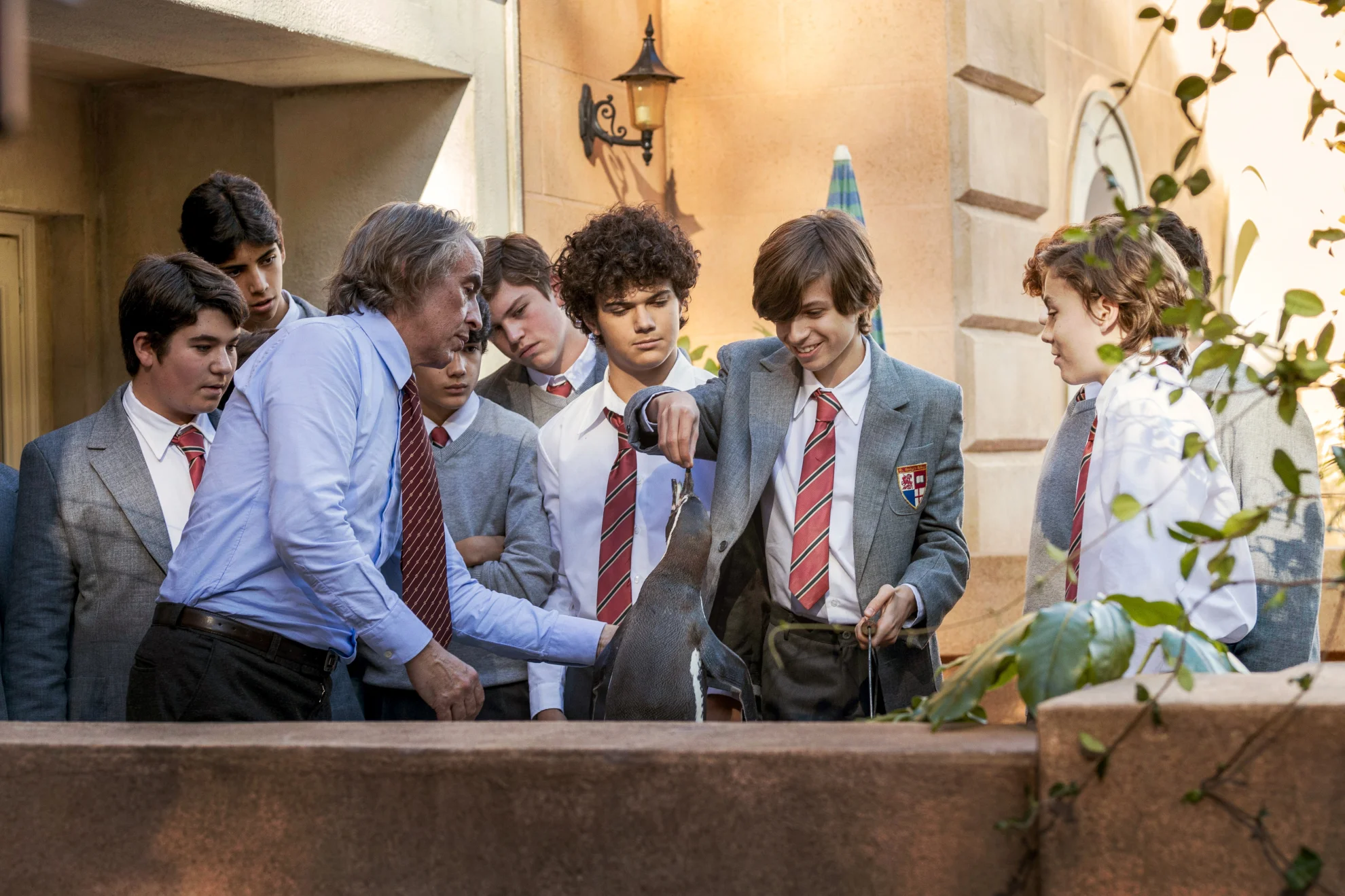 The Penguin Lessons hero banner image placeholder