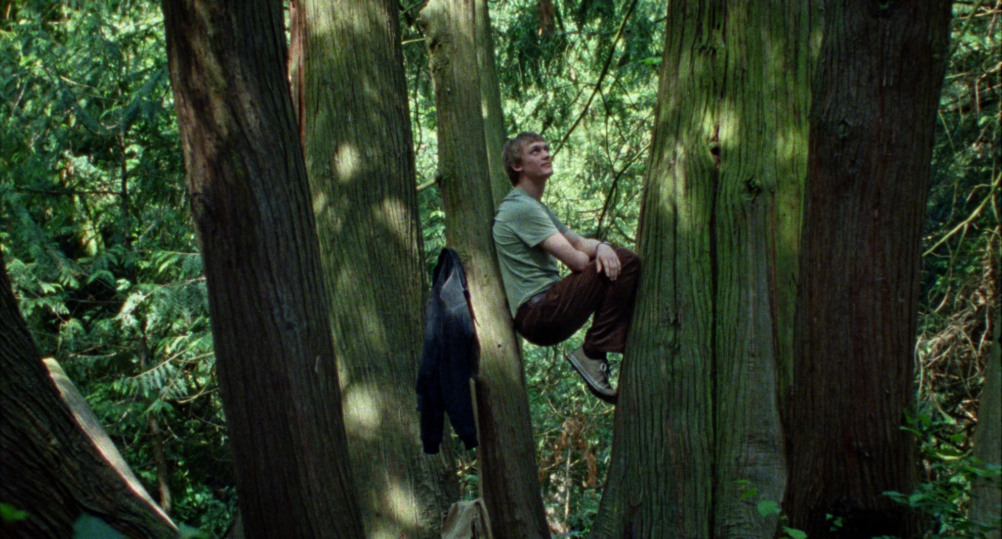 Programm hero banner image placeholder