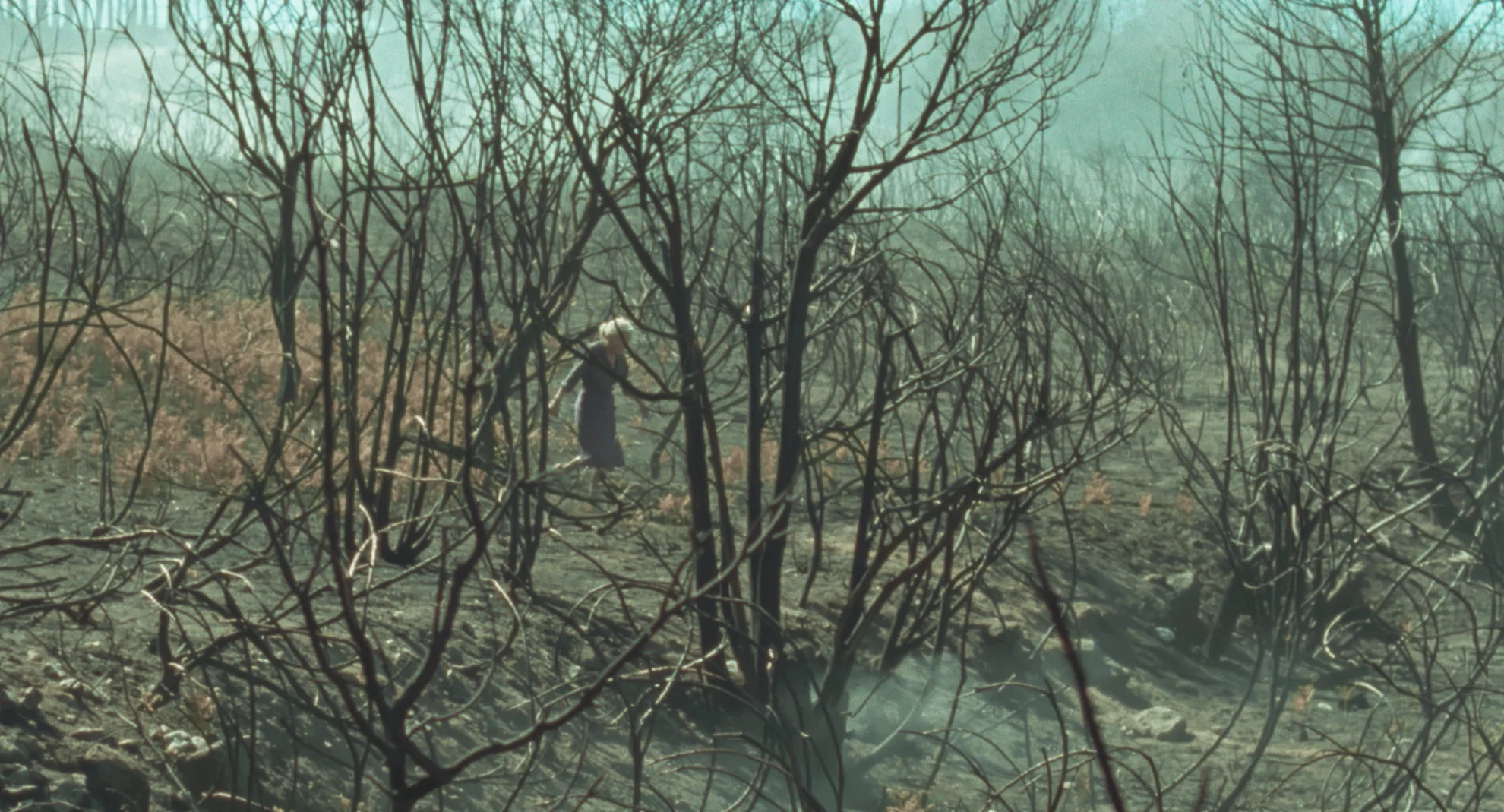 O que arde hero banner image