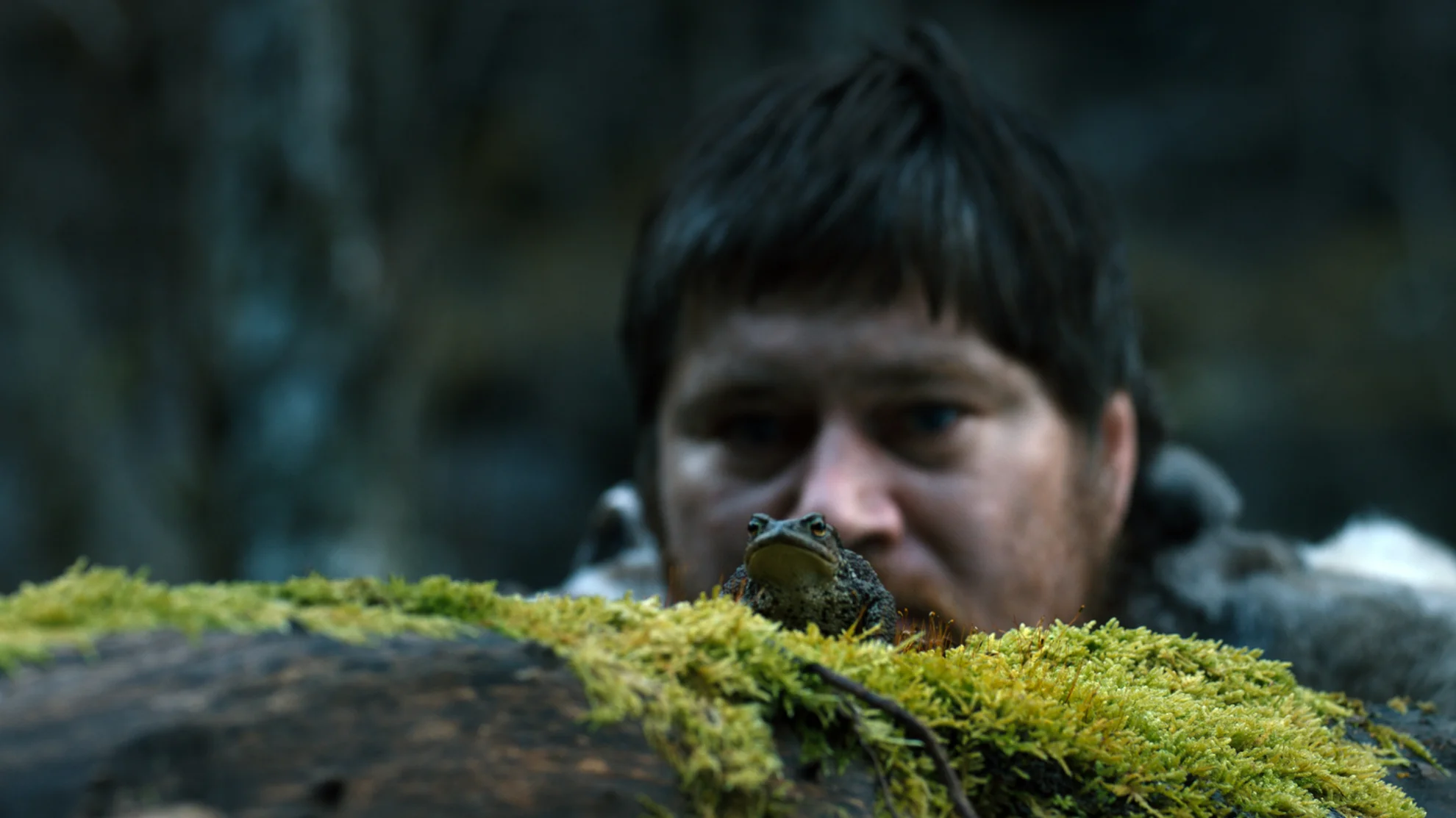 Vildmænd hero banner image