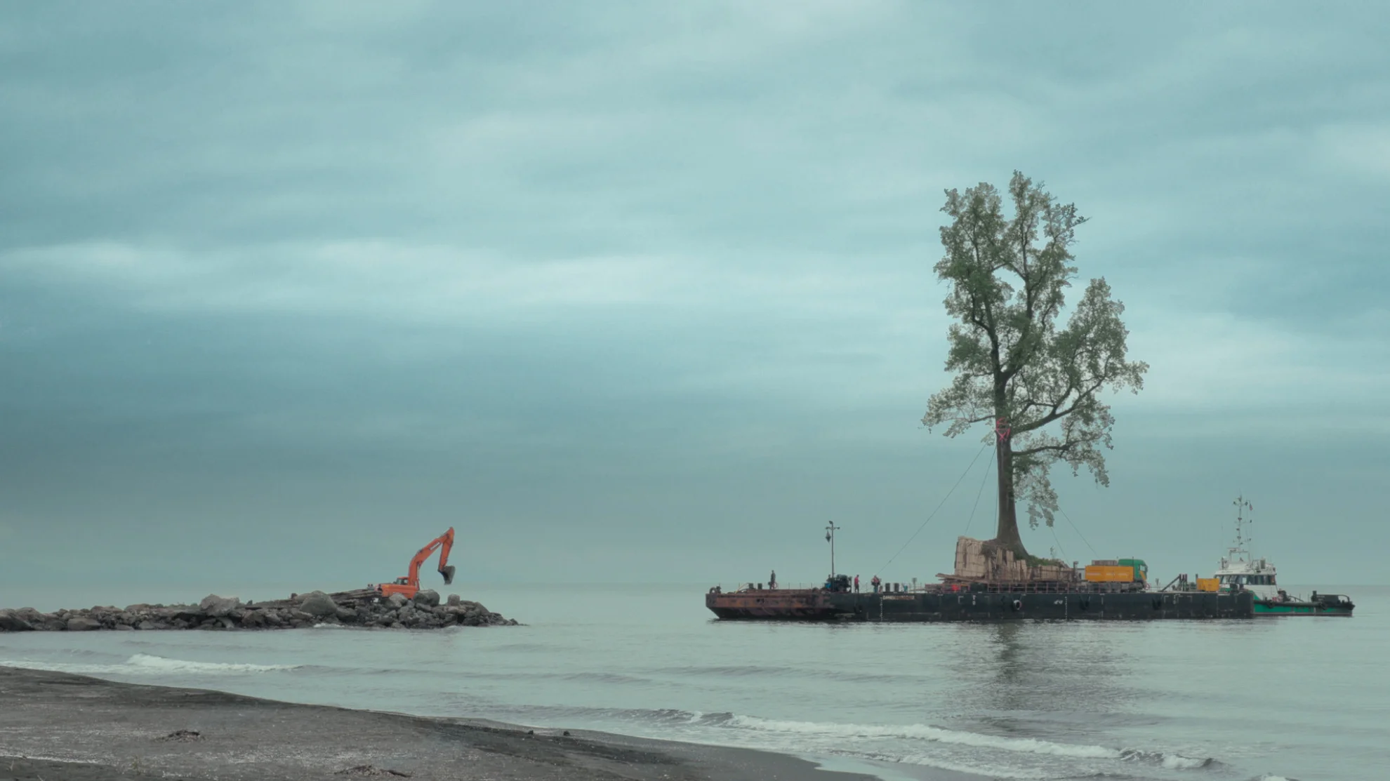 Taming the Garden hero banner image placeholder