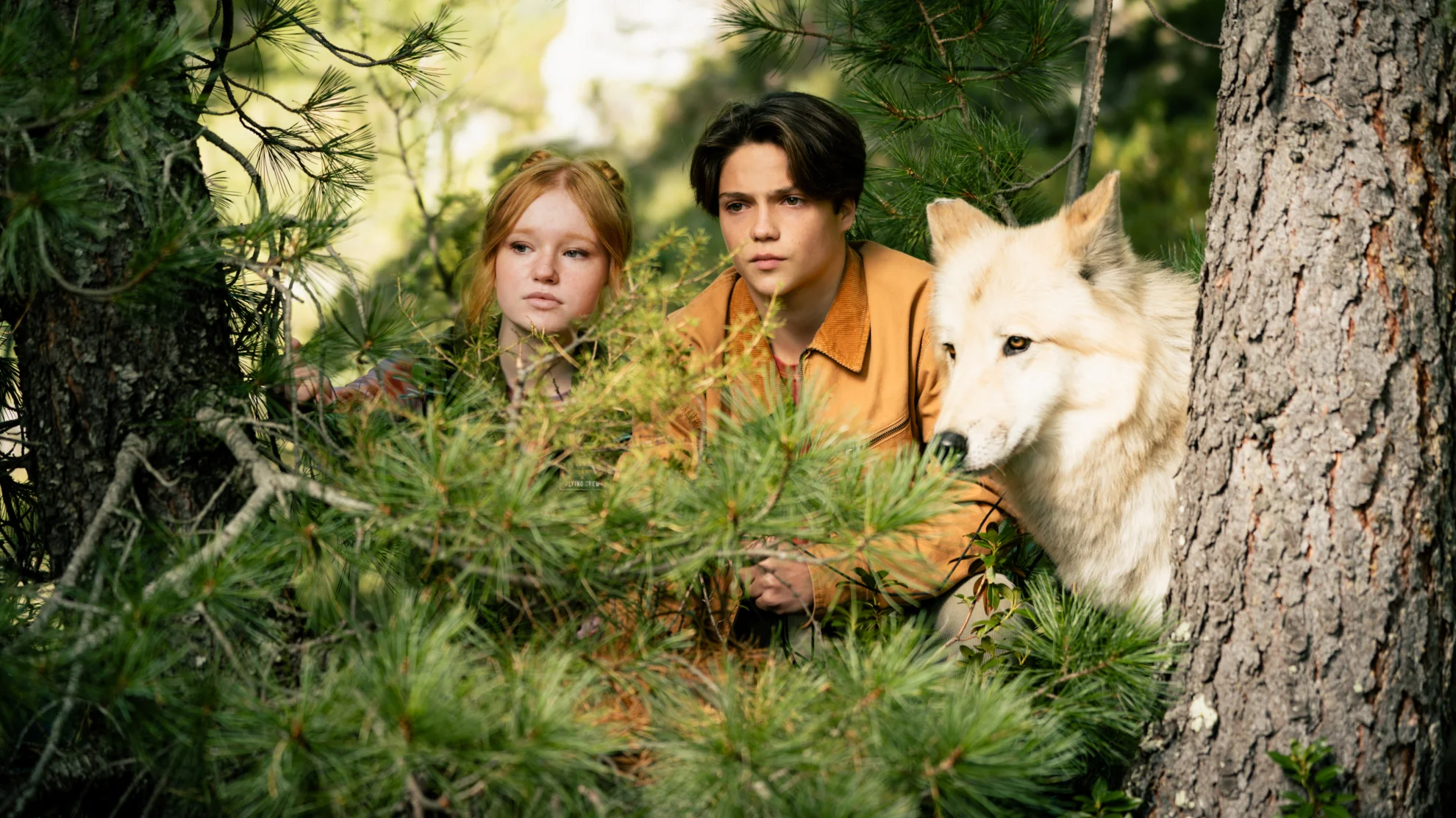 Woodwalkers 2 hero banner image