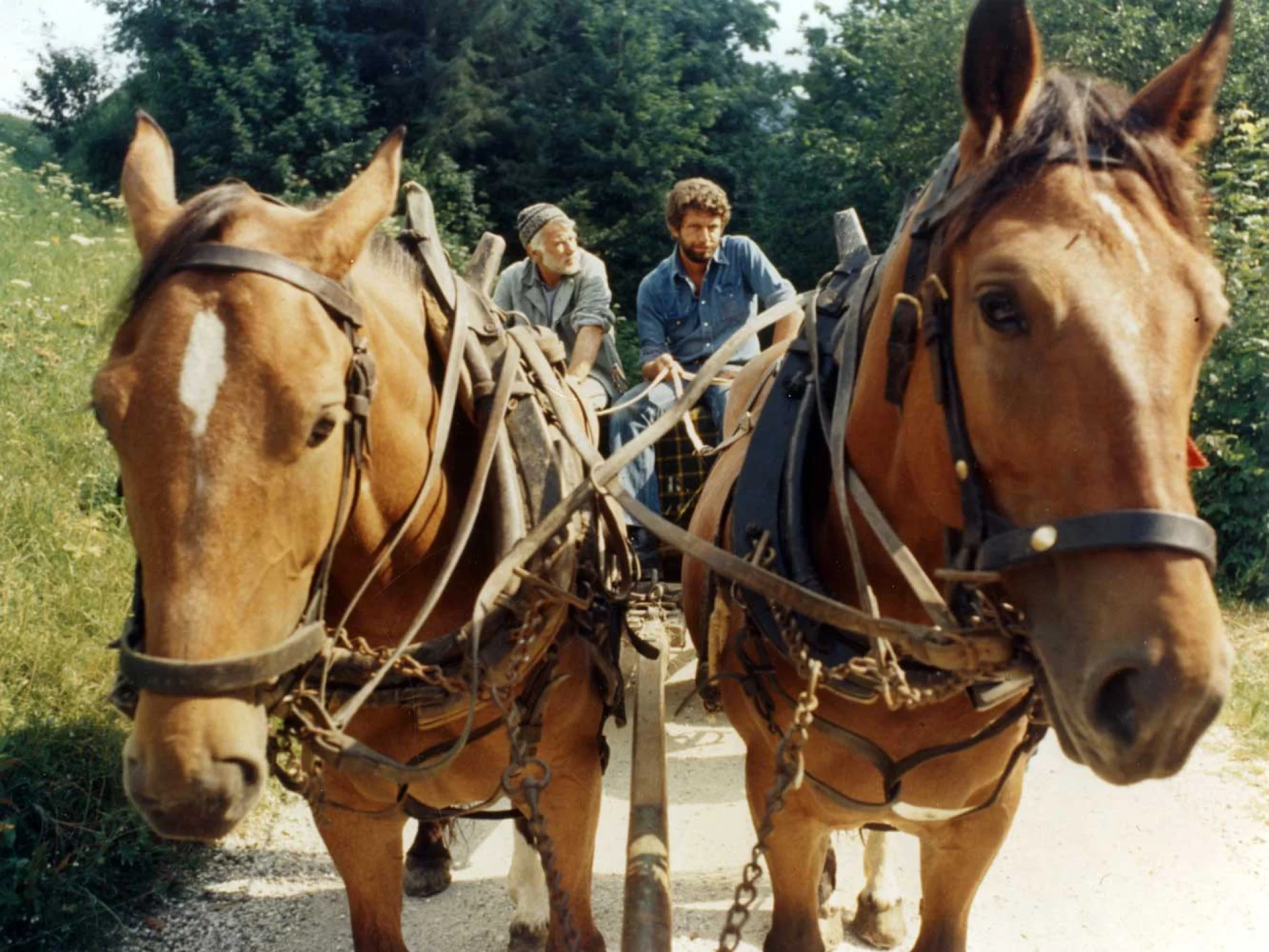 Brot und Steine hero banner image placeholder