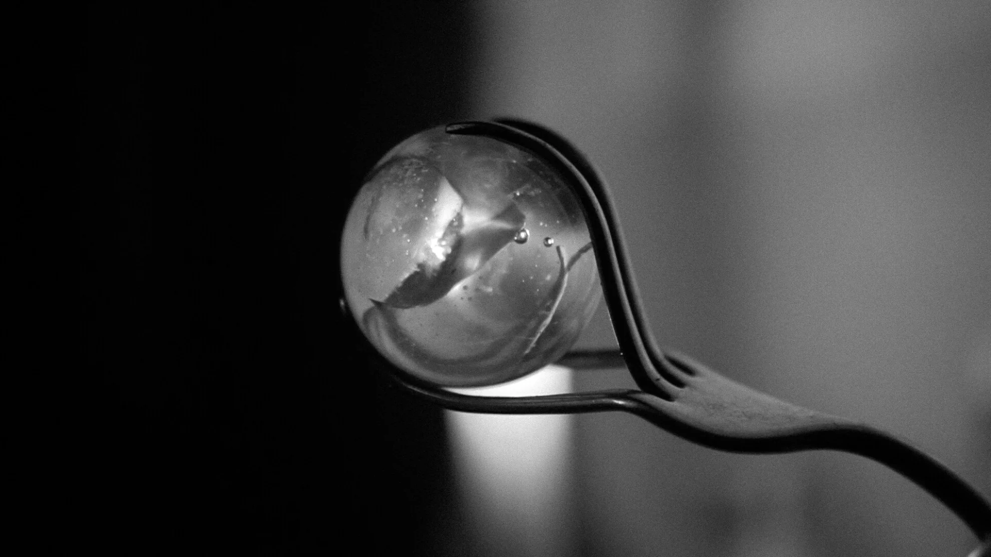 Kurzfilmnacht Luzern 2026 hero banner image placeholder