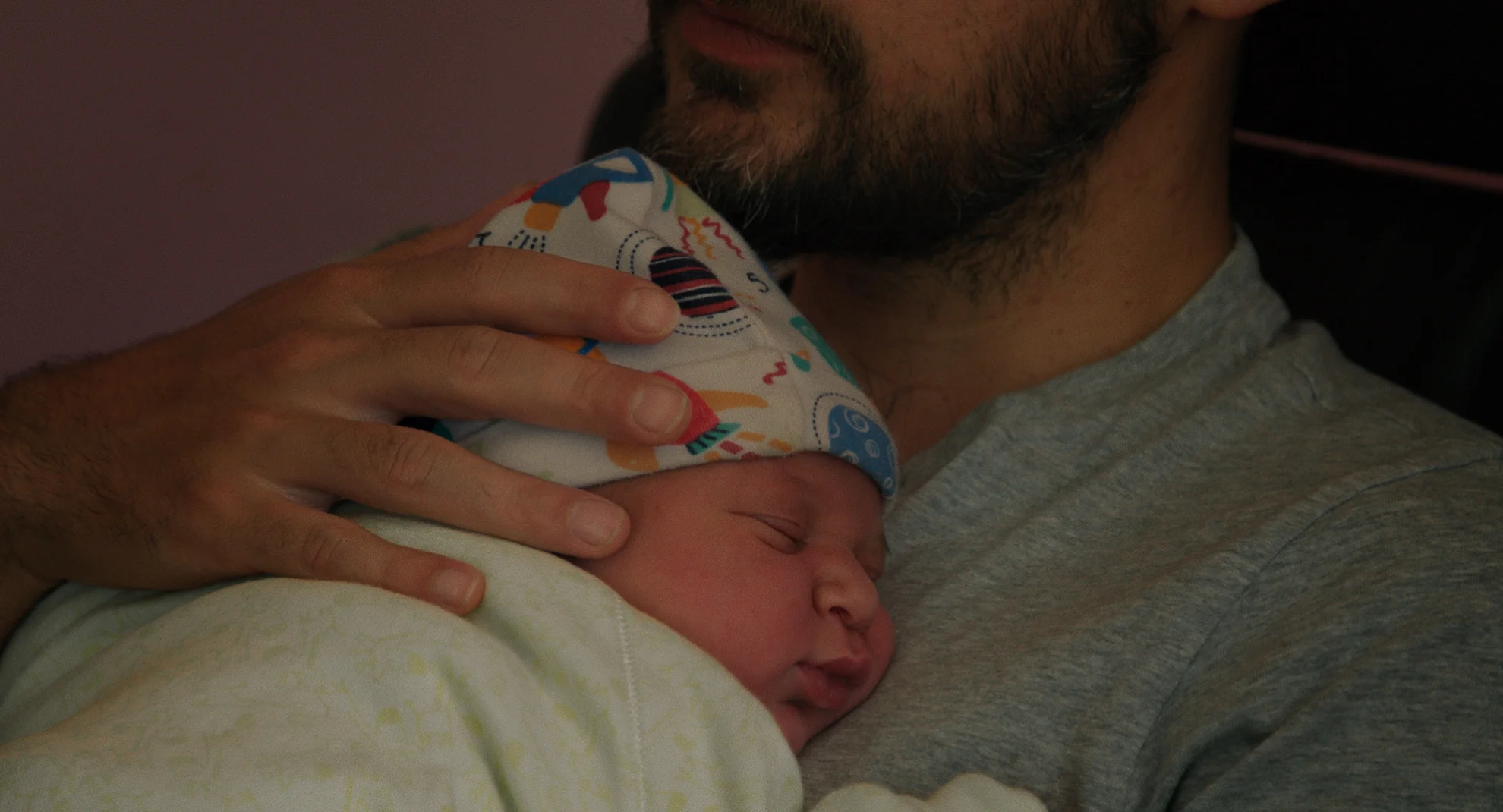 Die Papas hero banner image