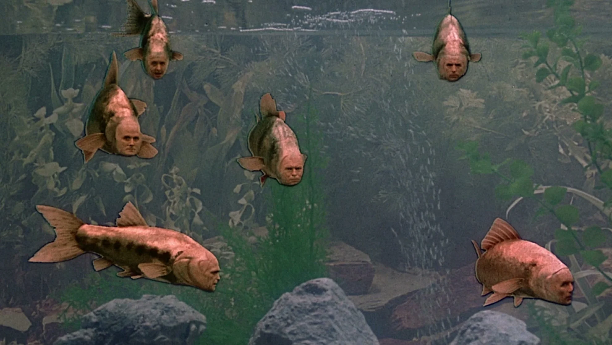 Monty Python's The Meaning of Life hero banner image placeholder