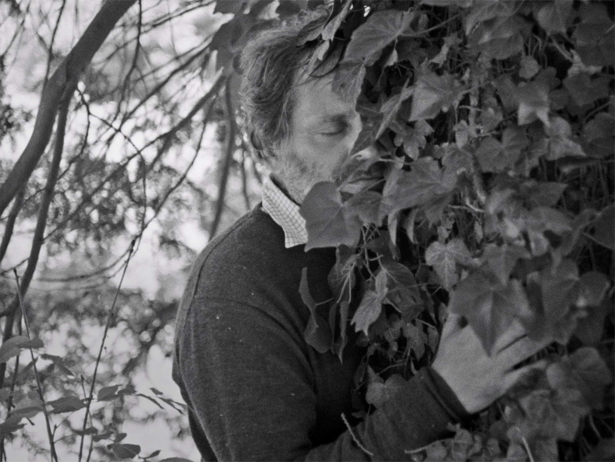 Electric Fields hero banner image placeholder