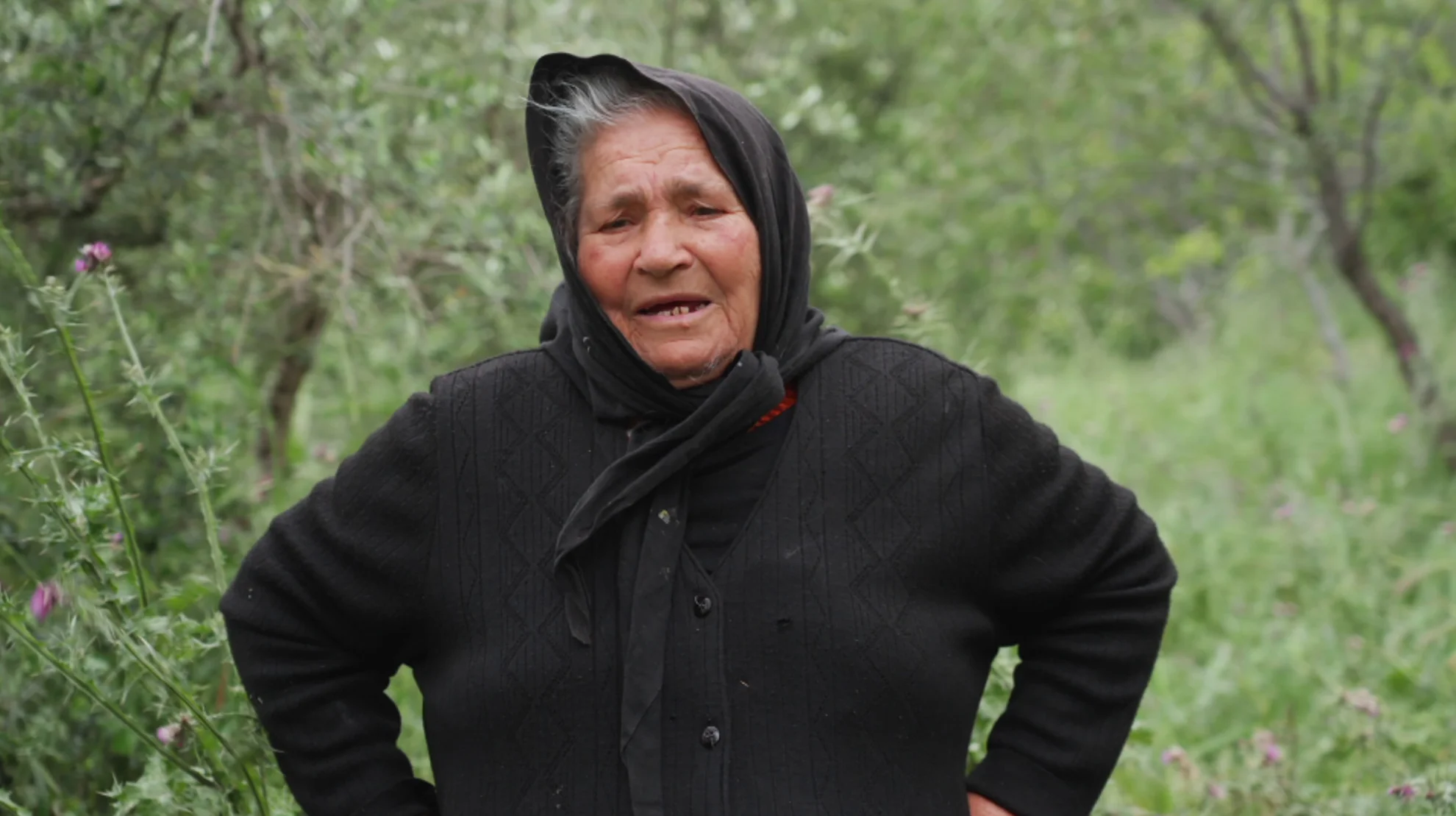 Melodie hero banner image placeholder