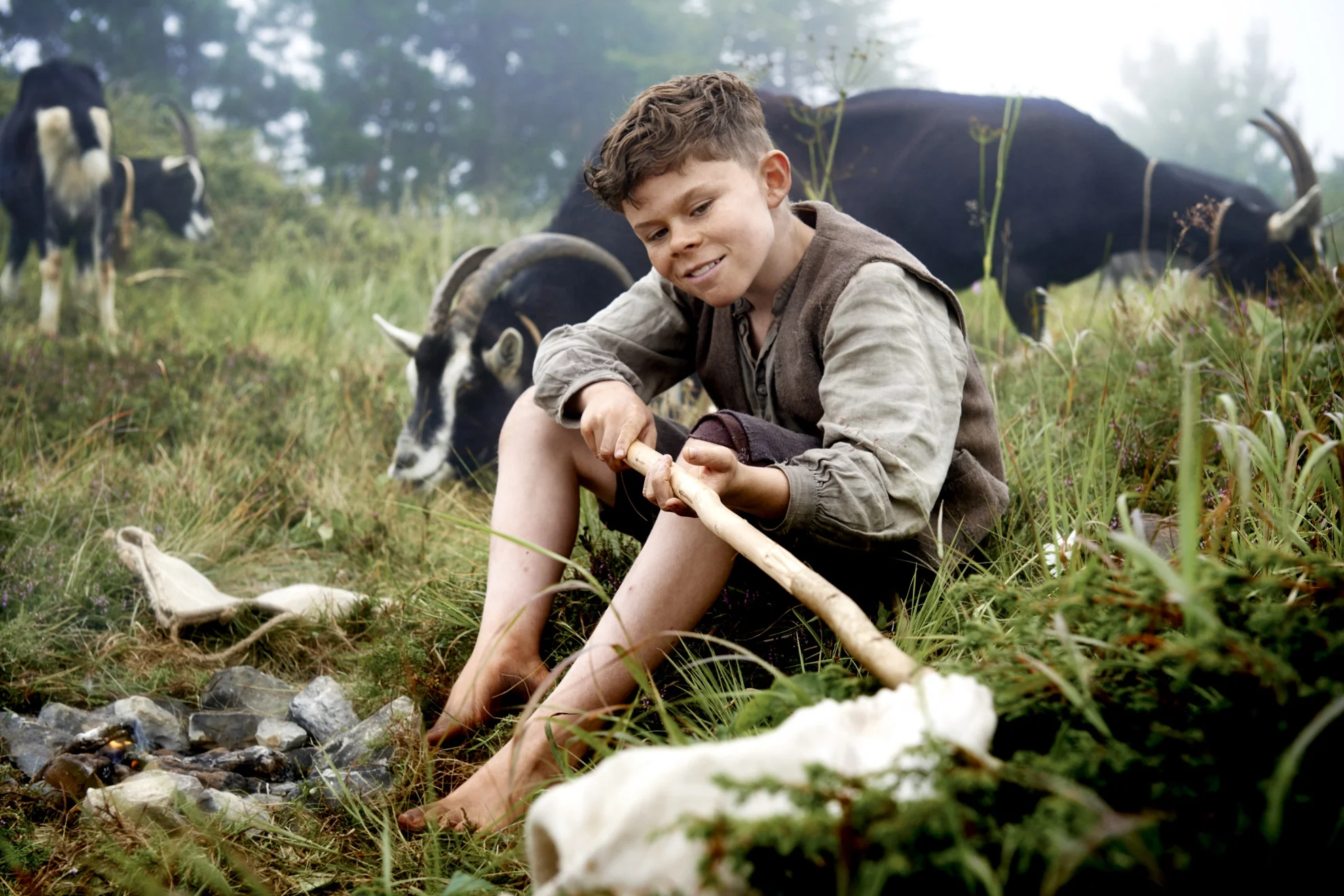 Heidi (2015) hero banner image placeholder