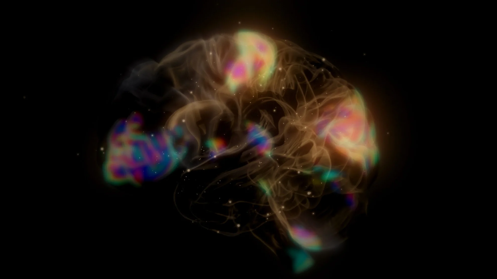 Golden Seniors hero banner image placeholder