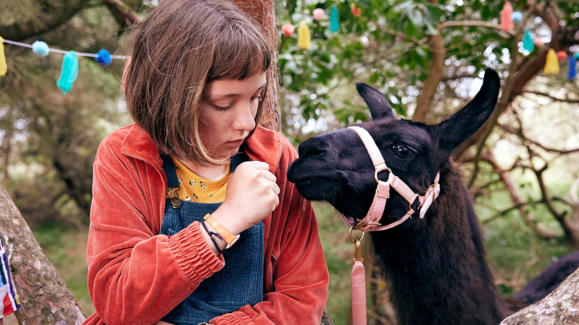 Mein Lotta-Leben - Alles Tschaka mit Alpaka hero banner image