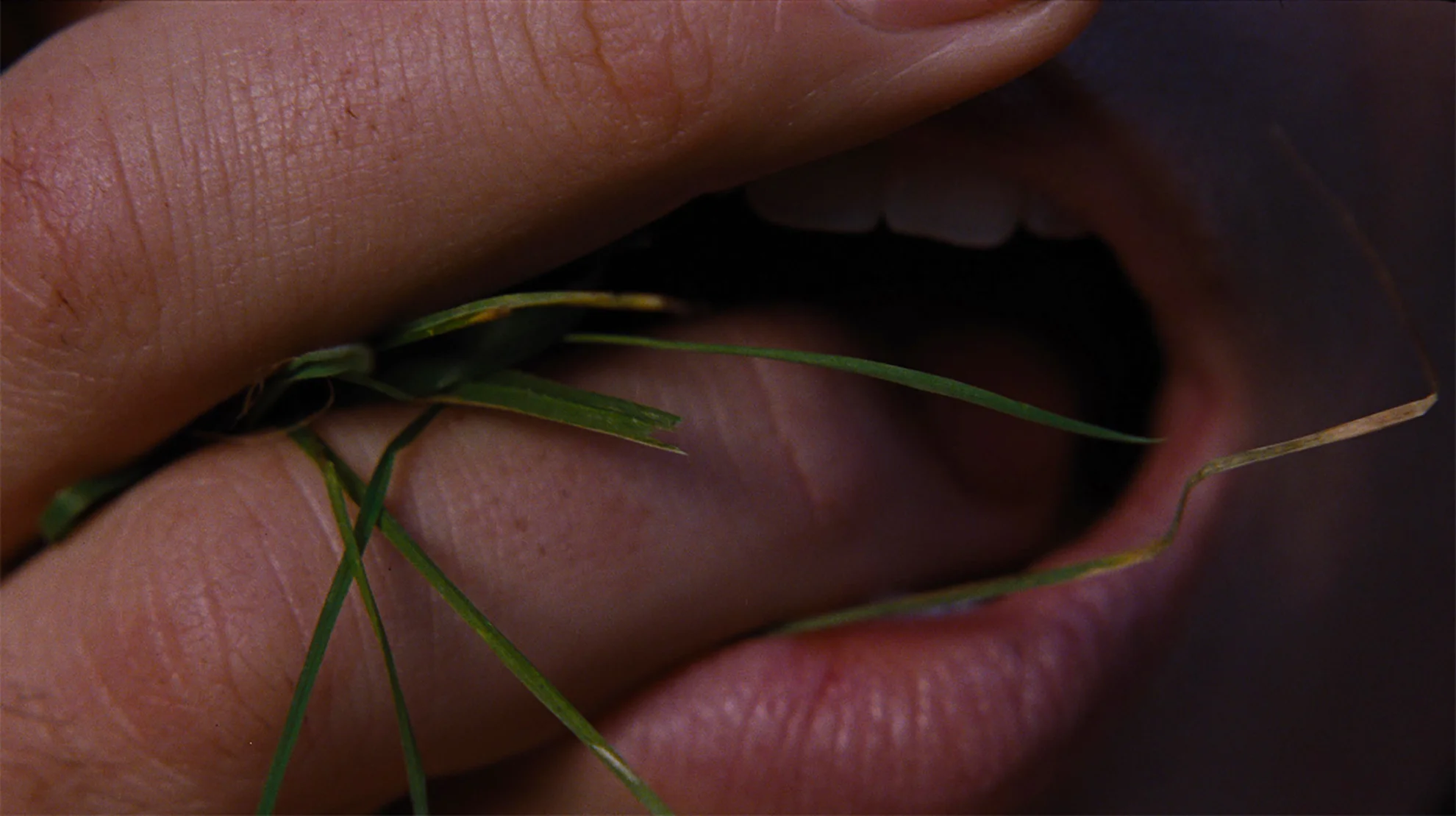 "Wuthering Heights" hero banner image placeholder