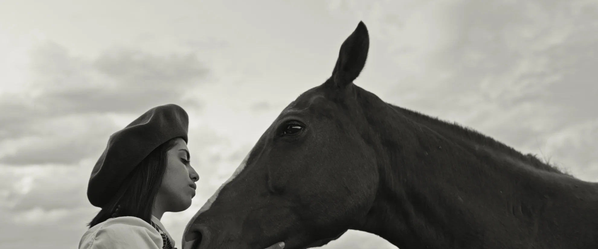 Programm hero banner image placeholder