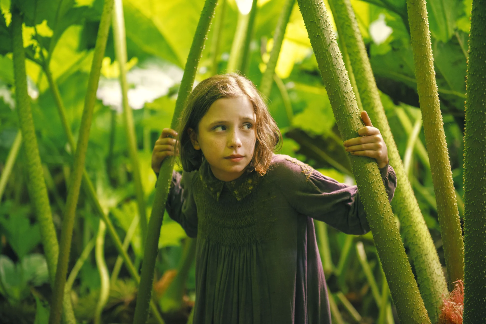 Der geheime Garten hero banner image