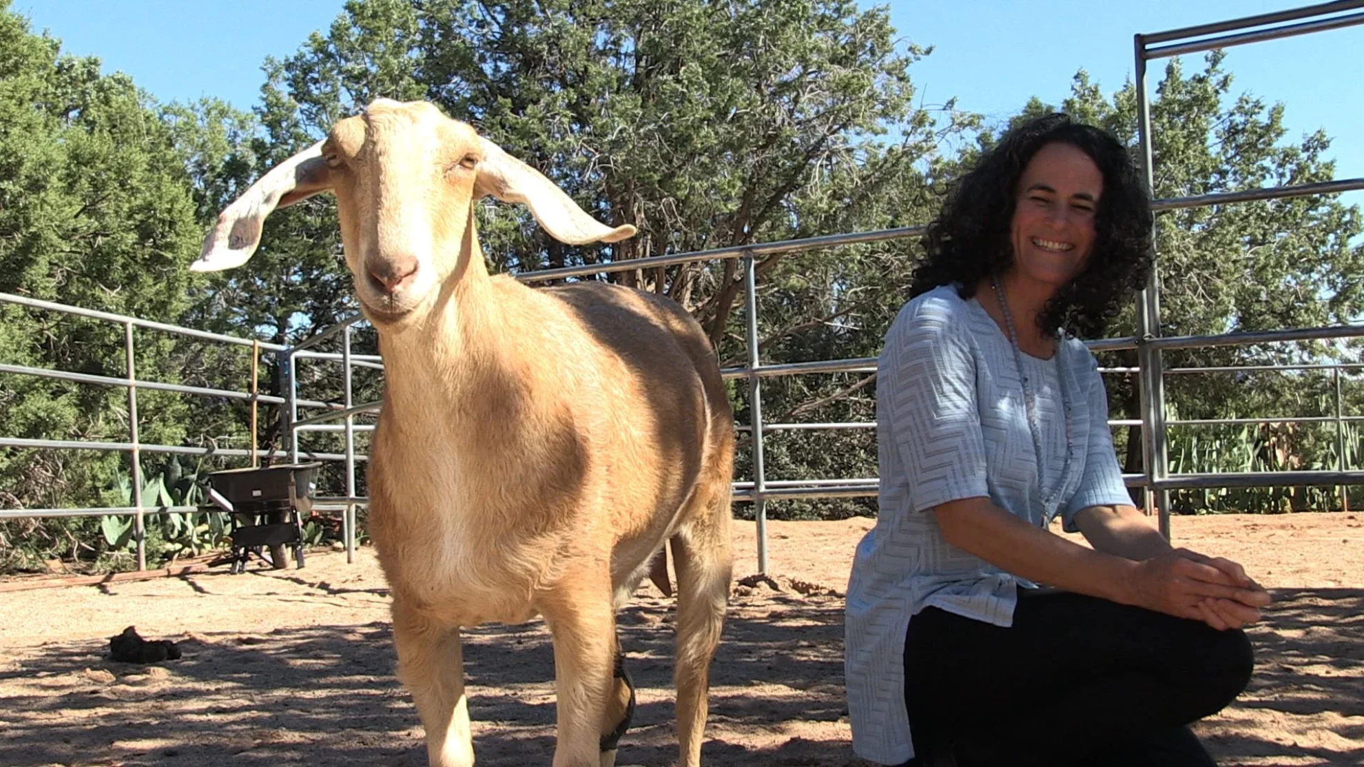 Being with Animals hero banner image