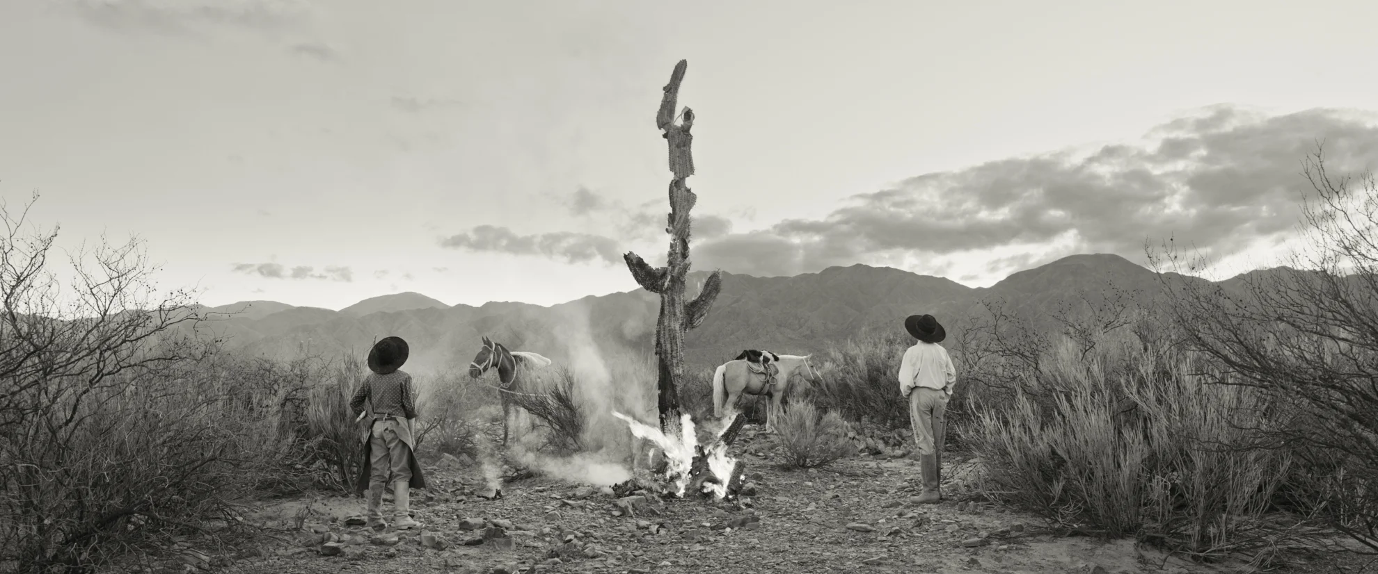 Gaucho Gaucho hero banner image placeholder