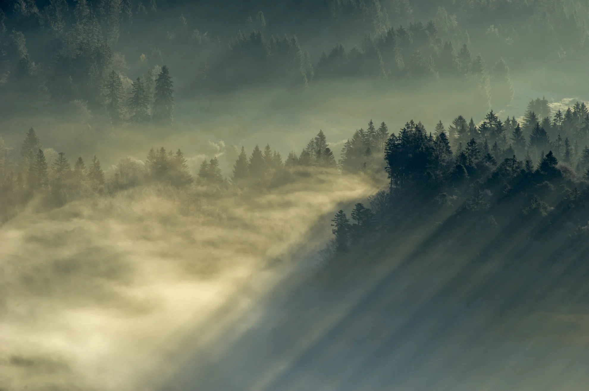 Luchs hero banner image placeholder