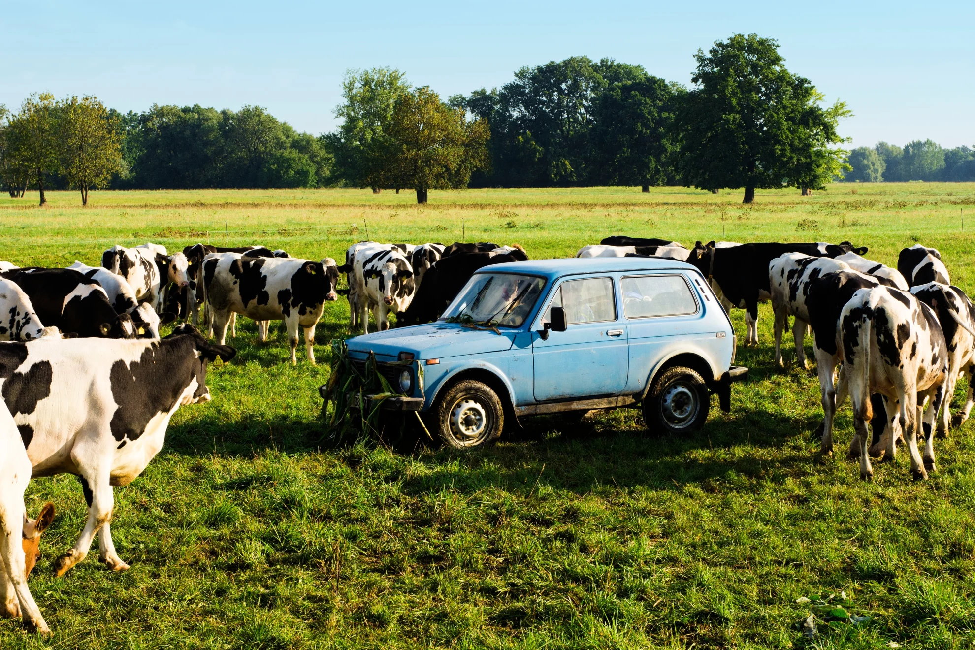 Tschick hero banner image placeholder