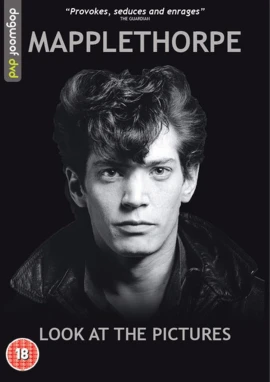 Mapplethorpe: Look at the Pictures film poster image