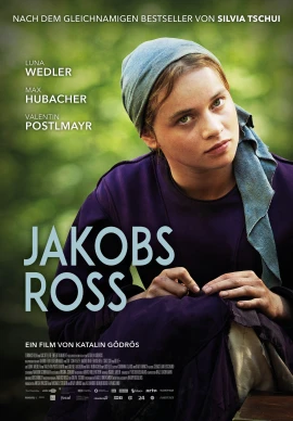 Jakobs Ross film poster image